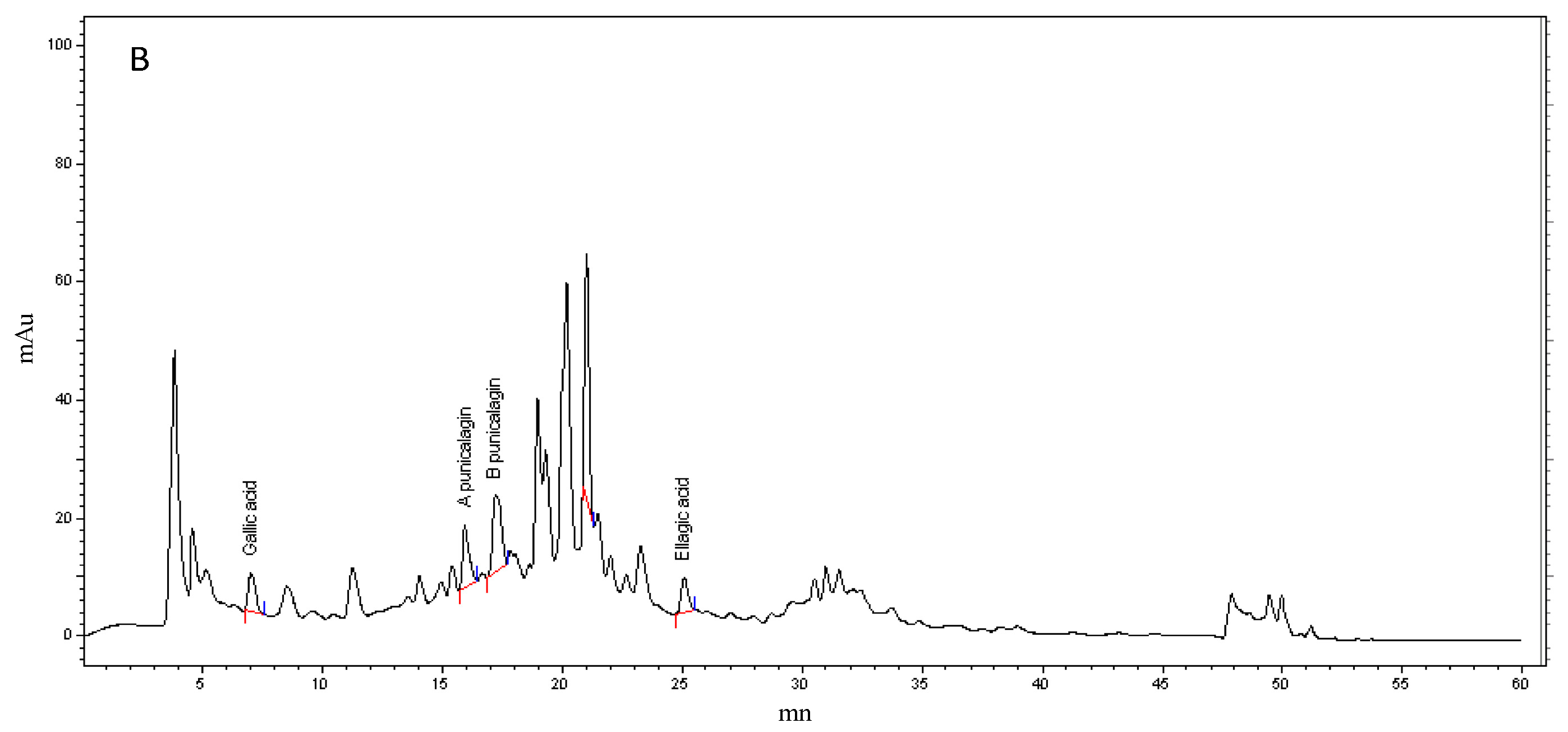 Foods 10 02219 g001b Foods 10 02219 g001b