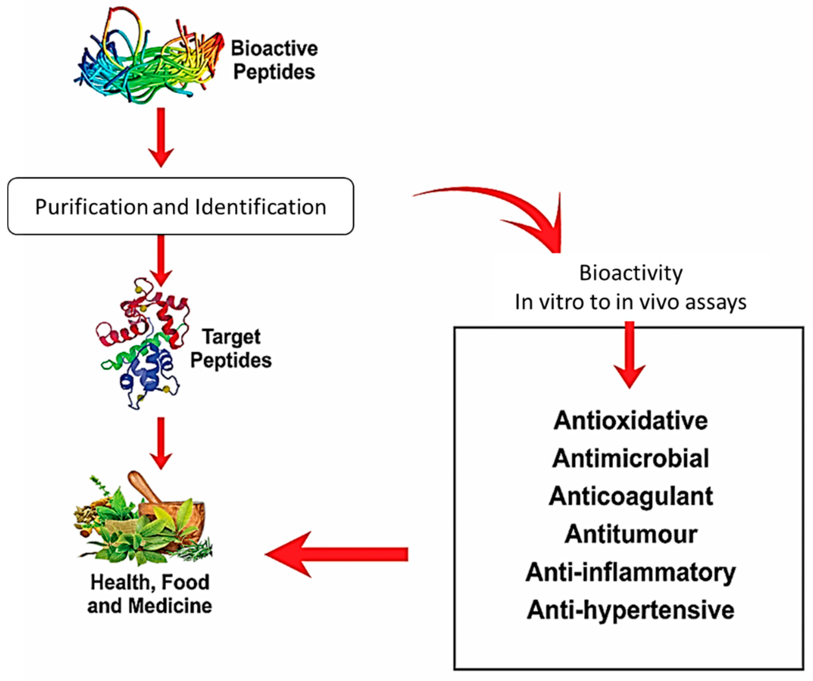 Foods 10 02220 g001 Foods 10 02220 g001