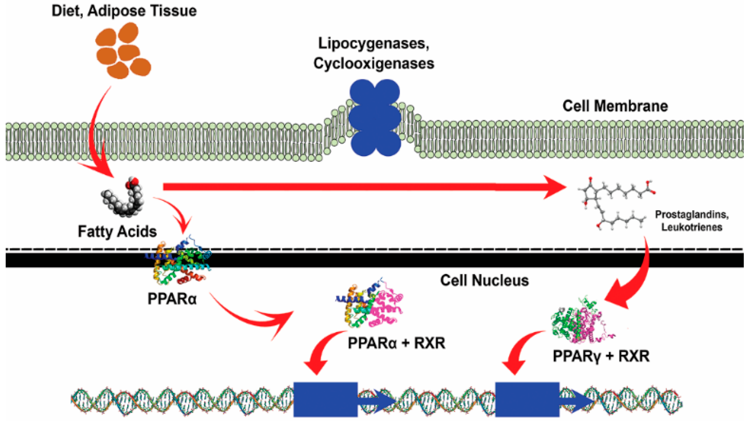 Foods 10 02220 g002 Foods 10 02220 g002