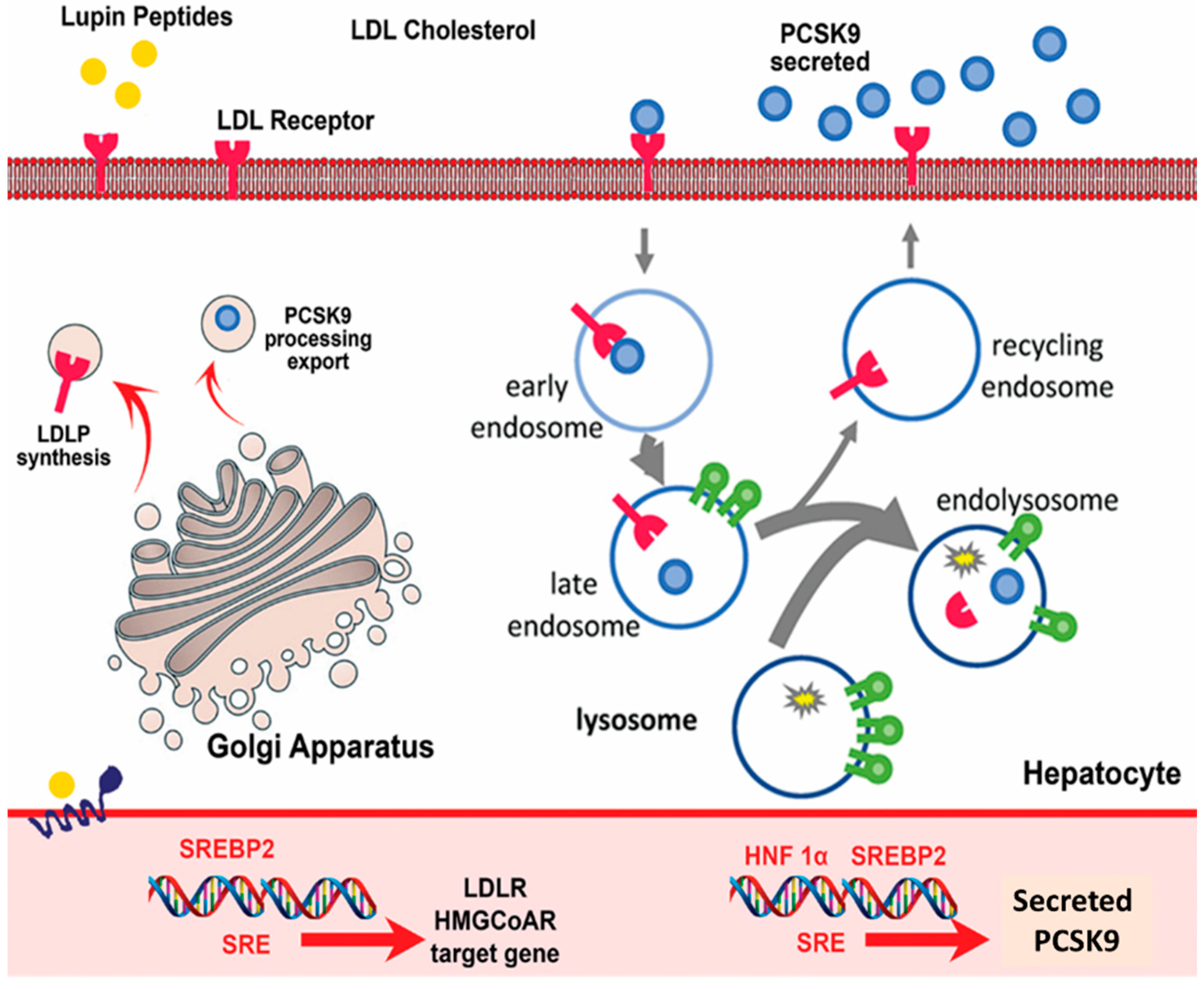 Foods 10 02220 g003 Foods 10 02220 g003