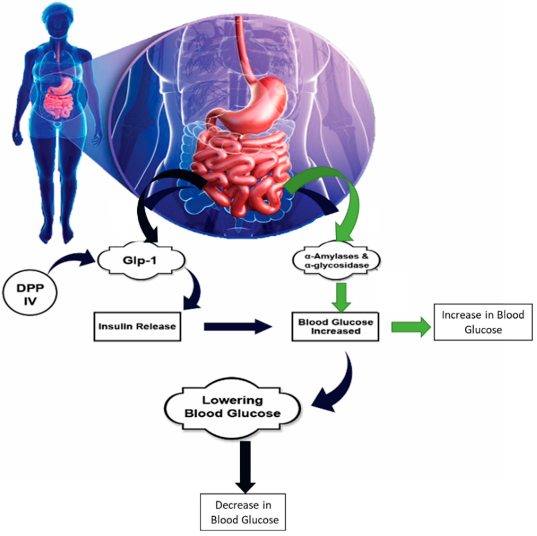 Foods 10 02220 g006 Foods 10 02220 g006