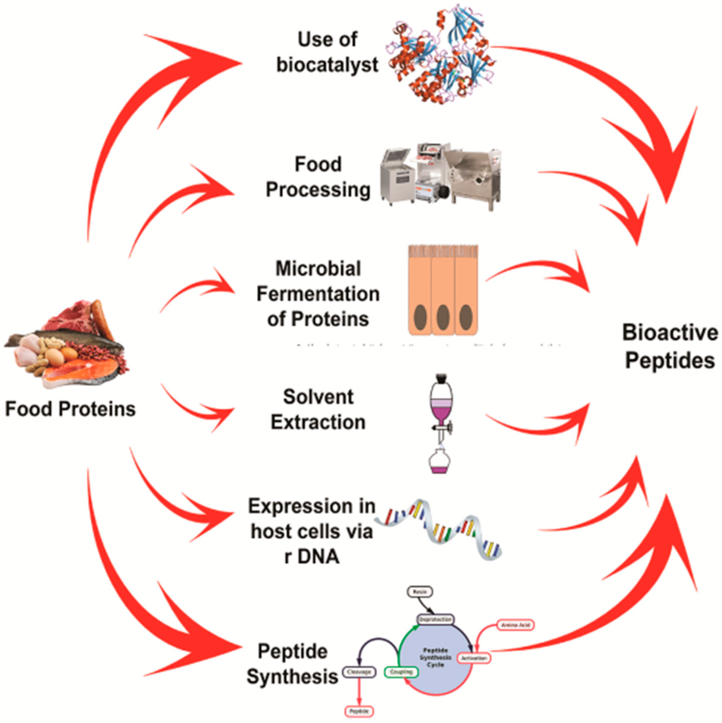 Foods 10 02220 g007 Foods 10 02220 g007