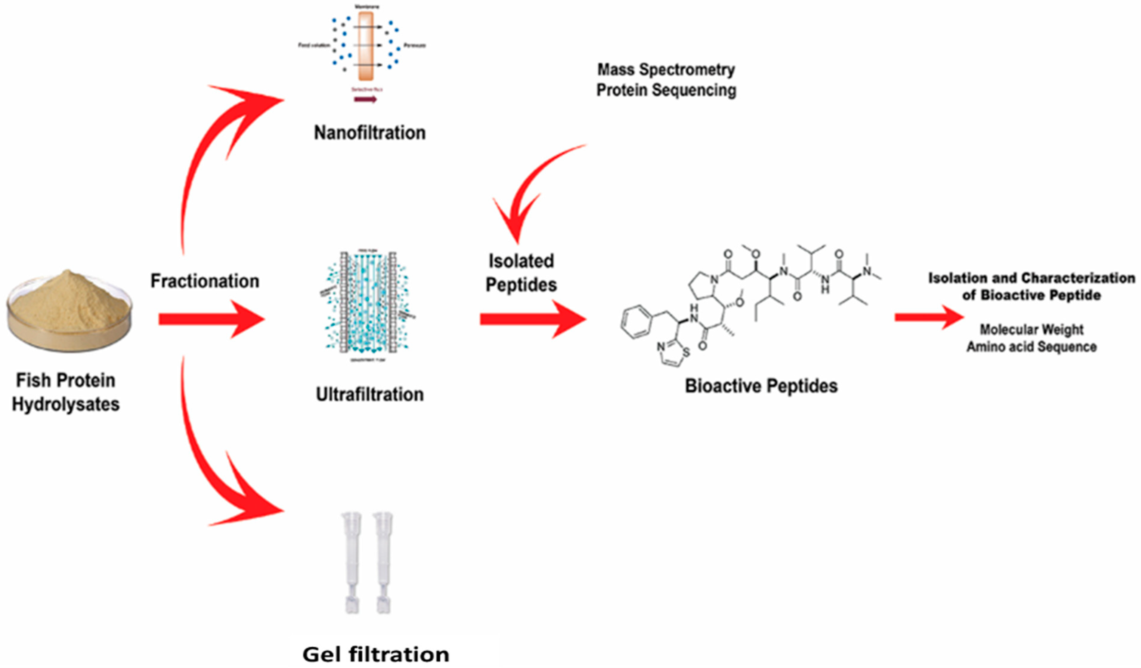 Foods 10 02220 g008 Foods 10 02220 g008