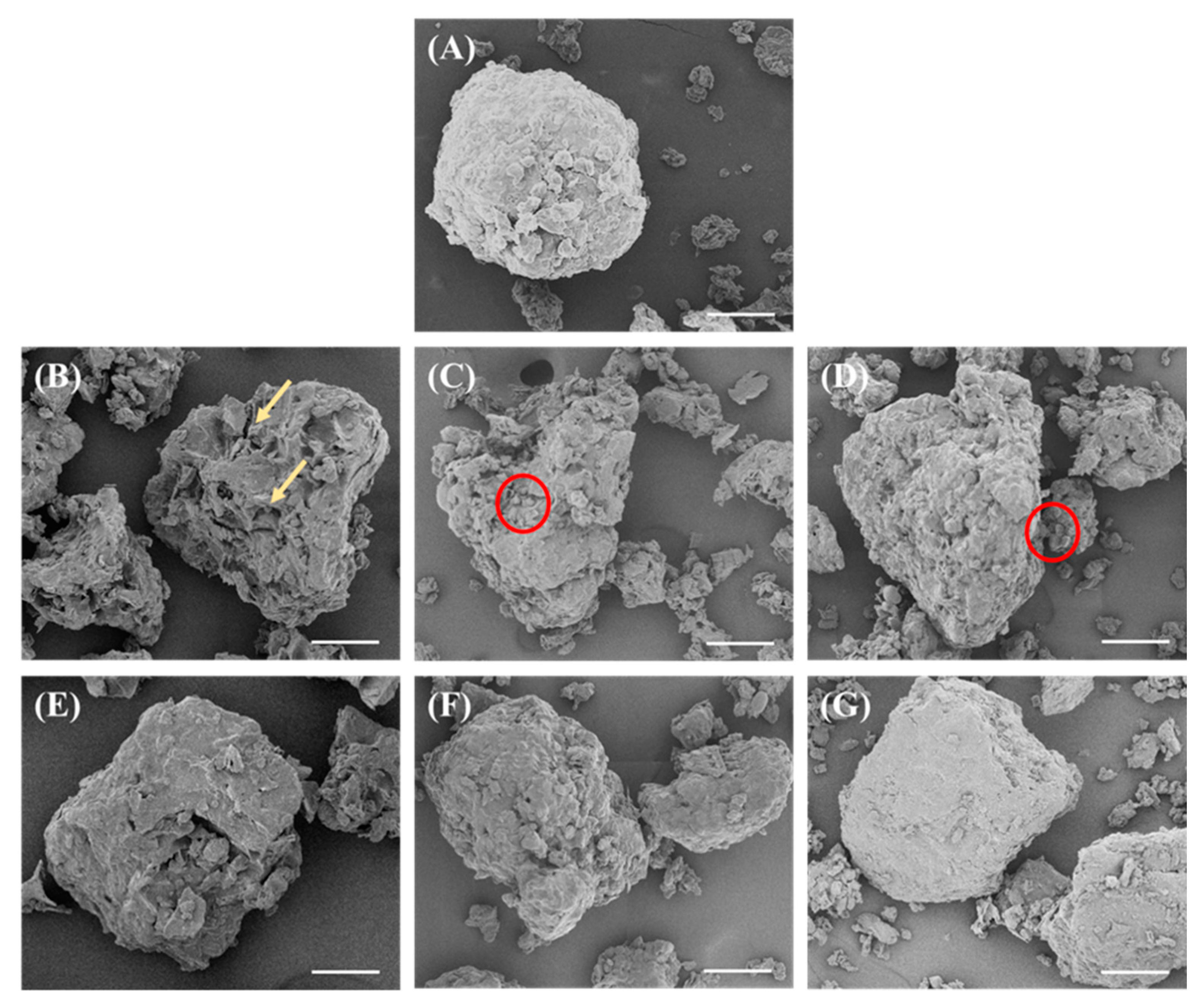 Foods 10 02222 g002 Foods 10 02222 g002