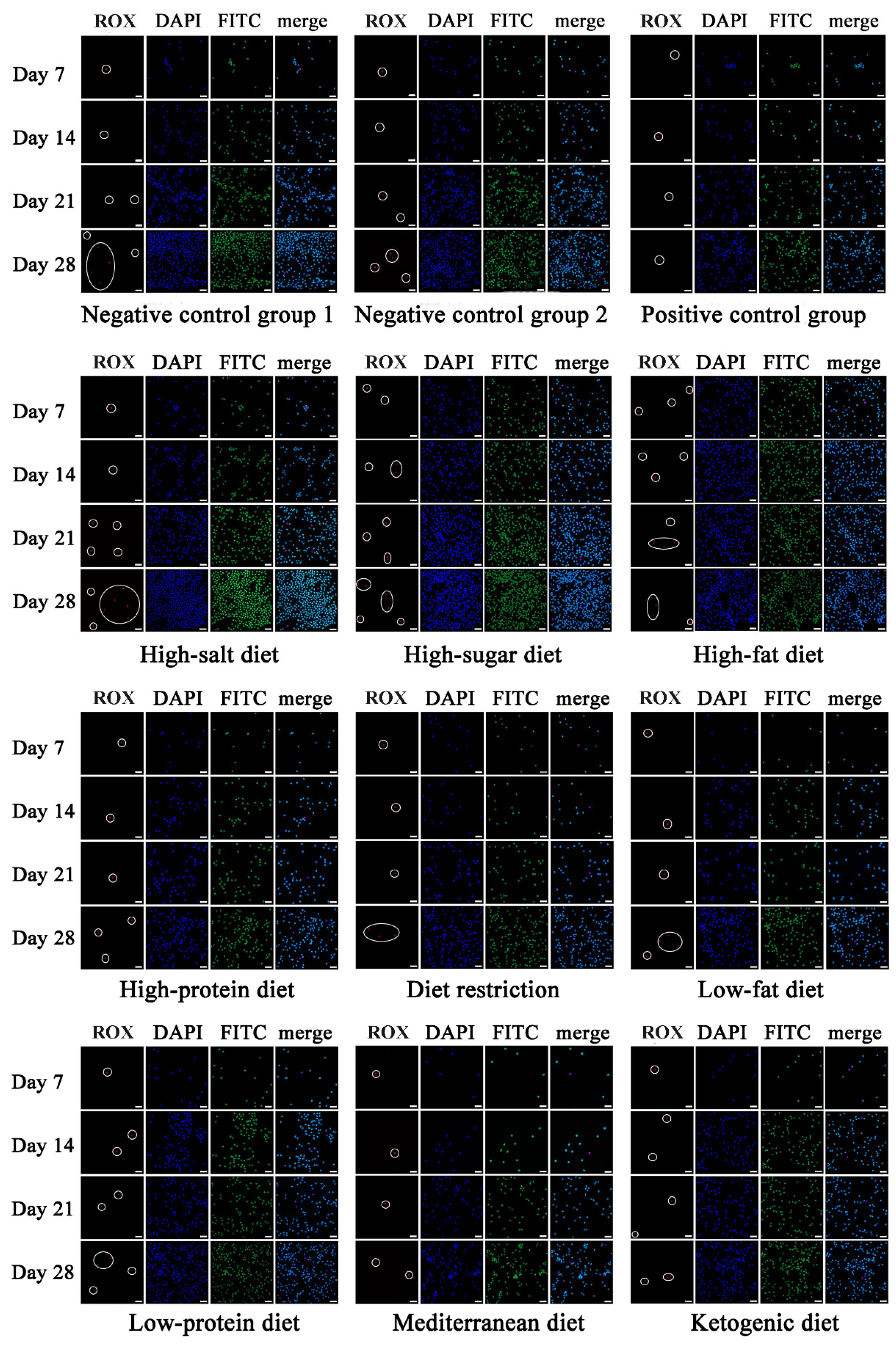 Foods 10 02223 g004 550