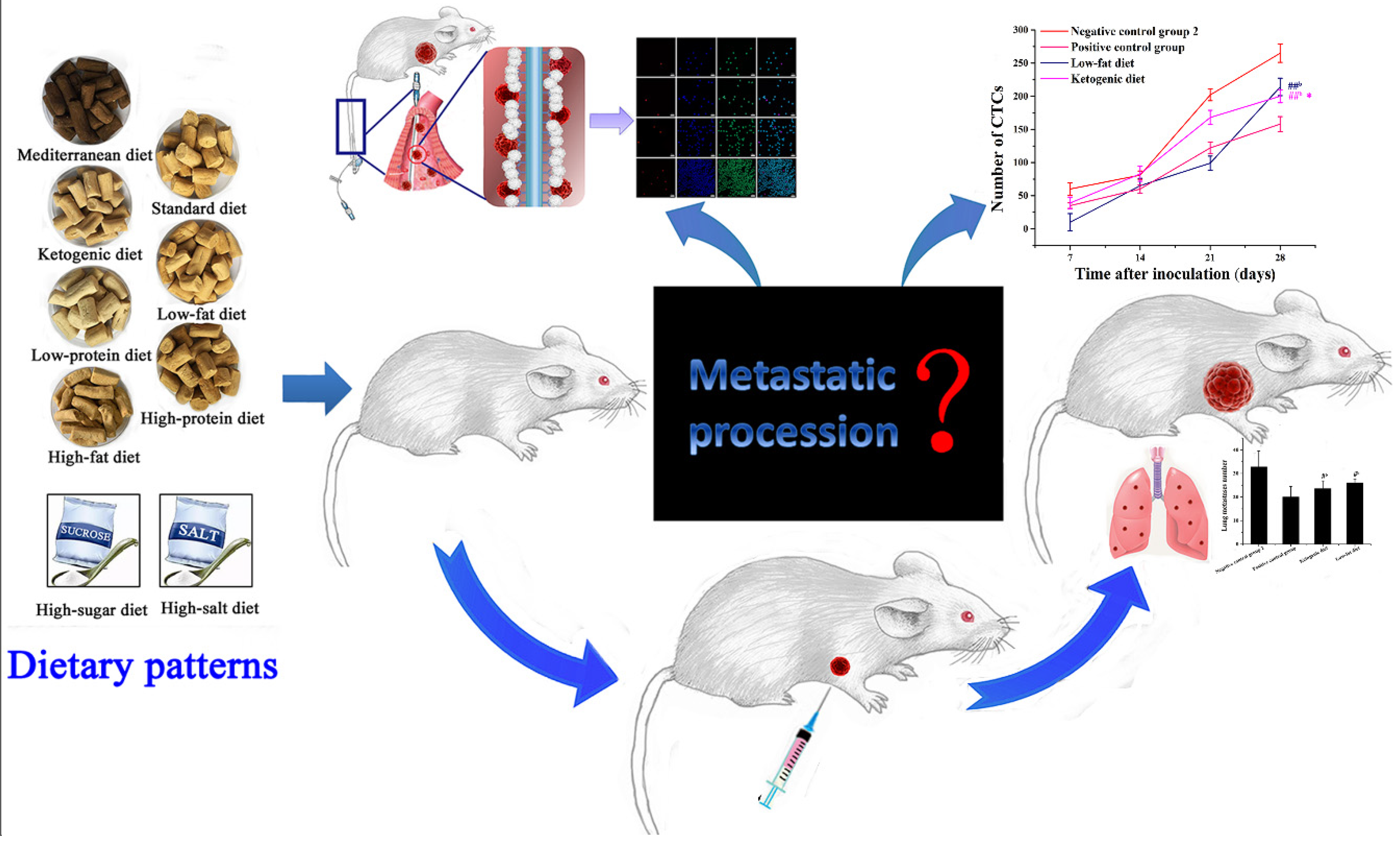 Foods 10 02223 sch001 550