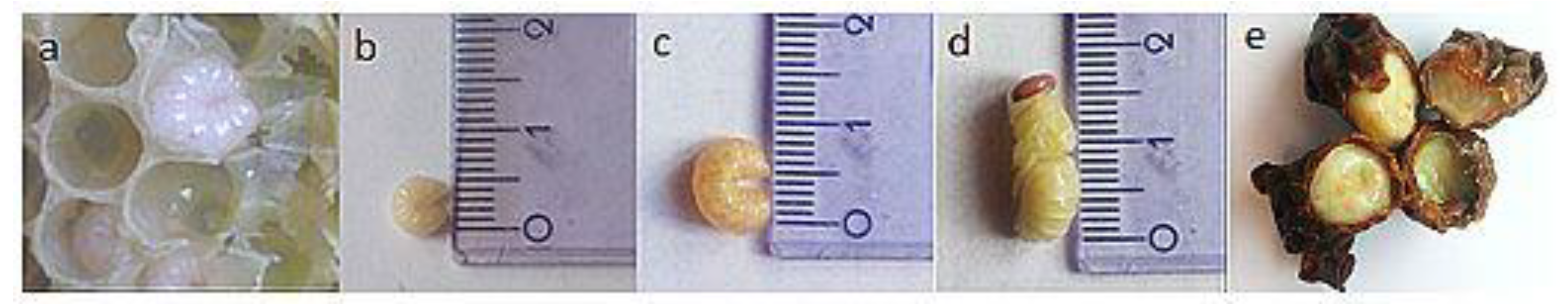 Foods 10 02233 g001 Foods 10 02233 g001