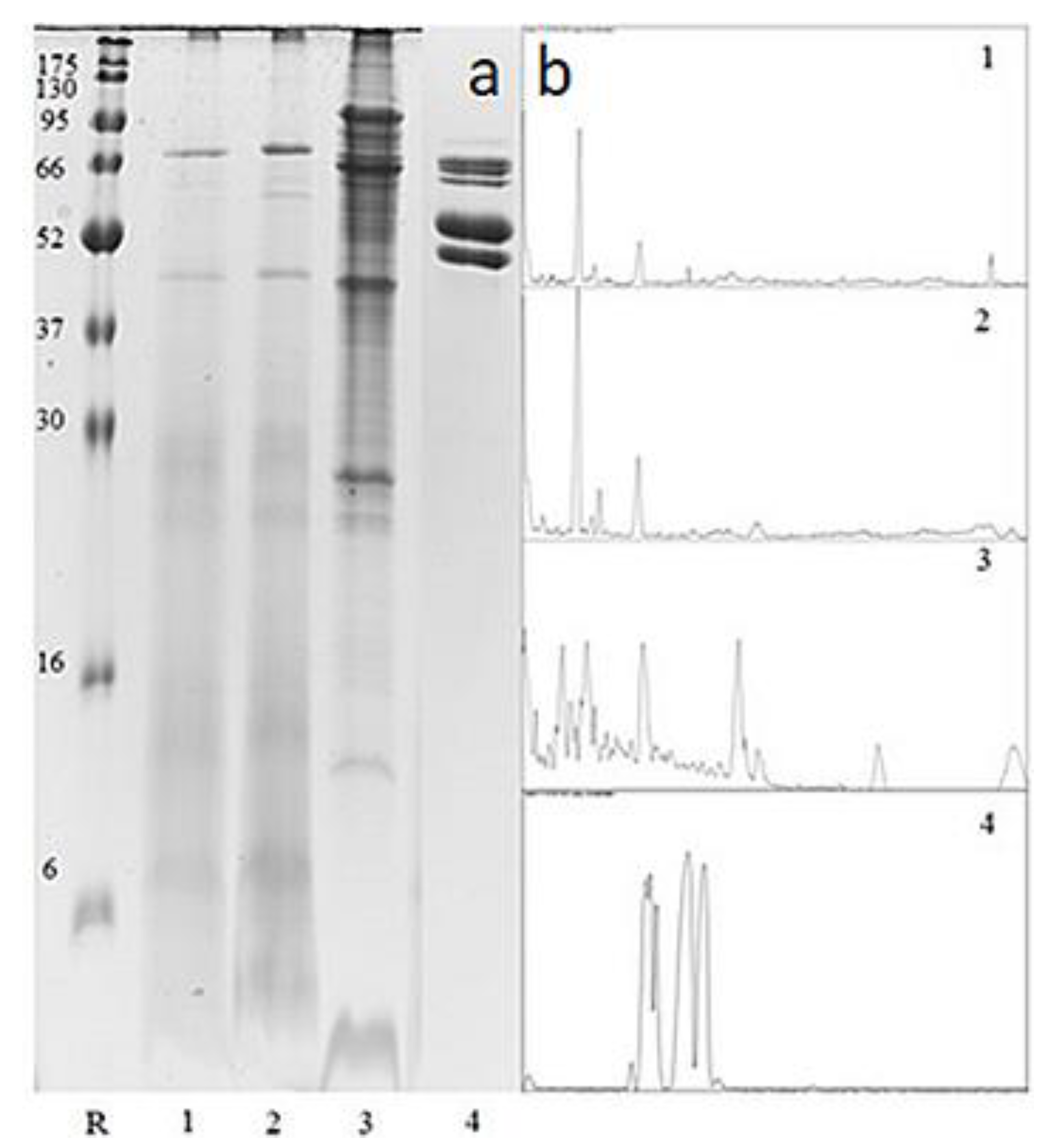 Foods 10 02233 g002 Foods 10 02233 g002