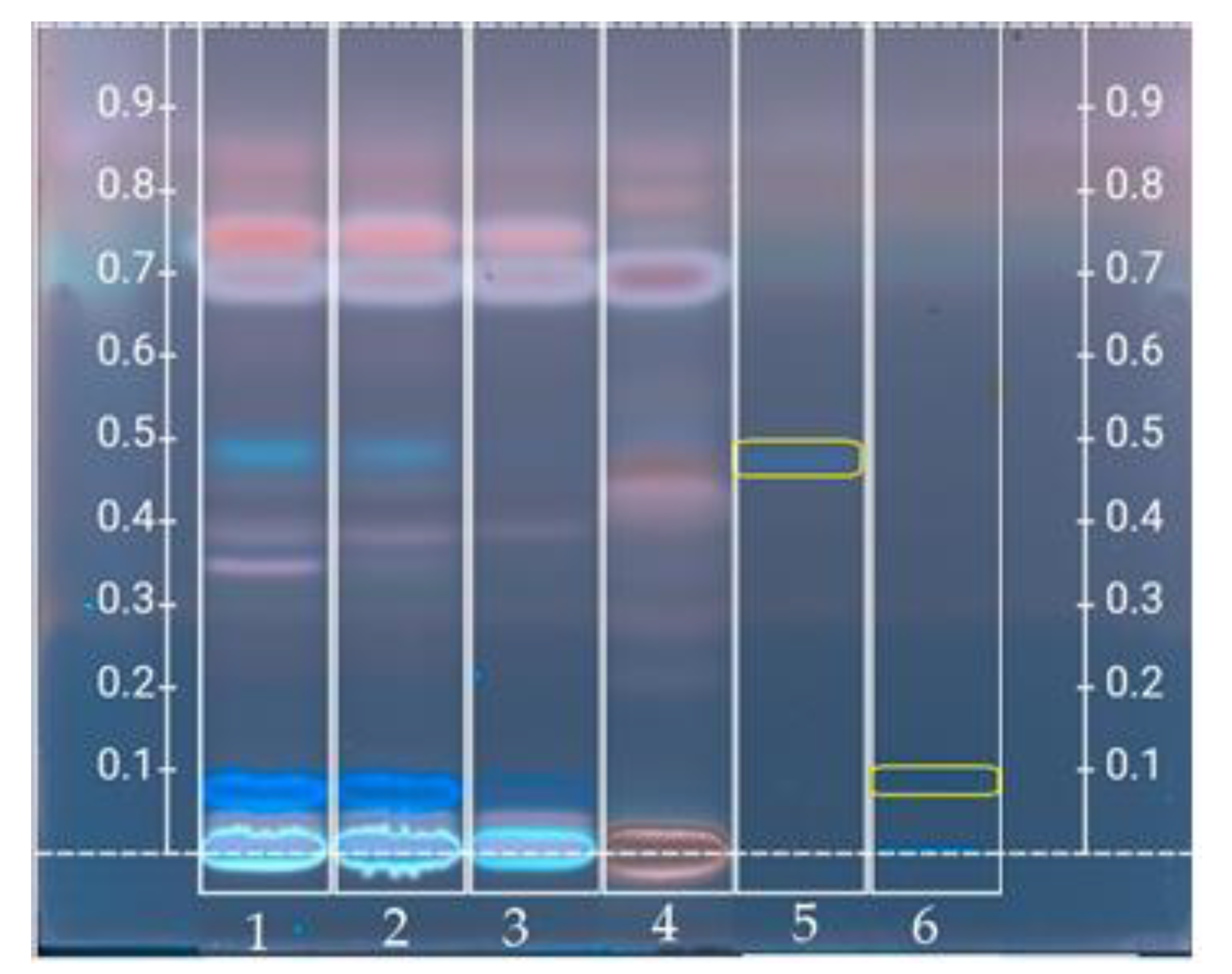Foods 10 02233 g005 Foods 10 02233 g005