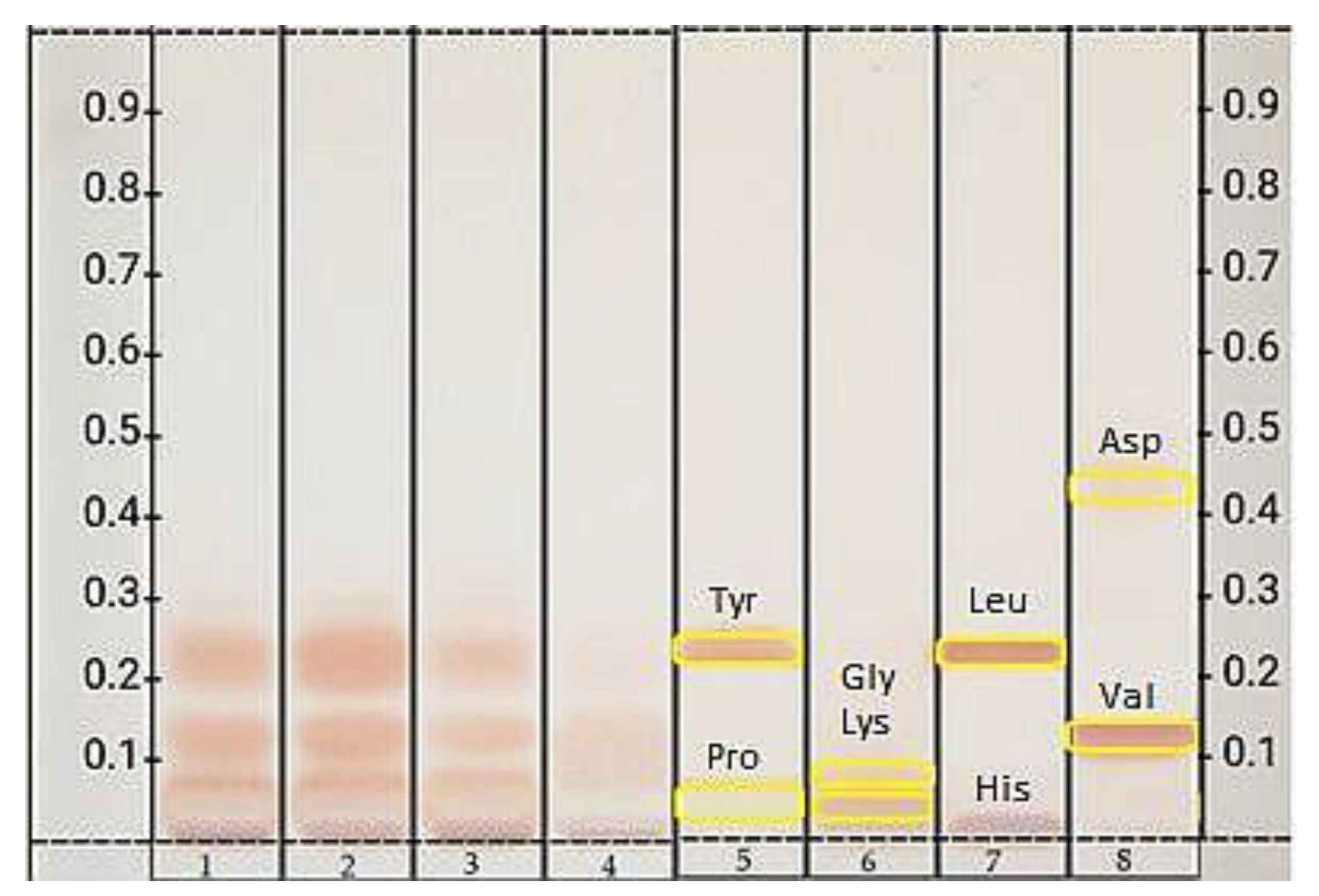 Foods 10 02233 g007 Foods 10 02233 g007
