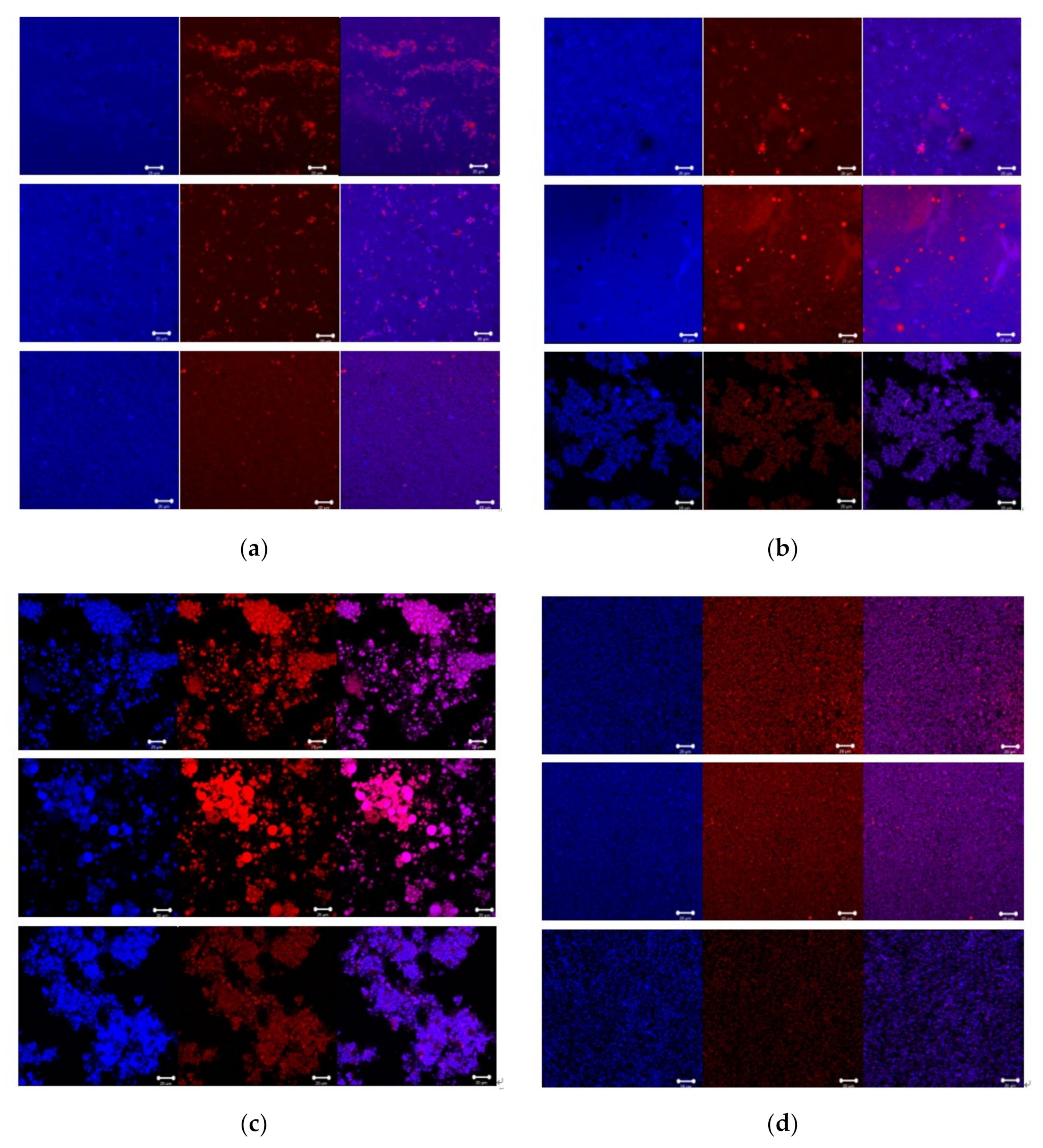 Foods 10 02238 g004 550