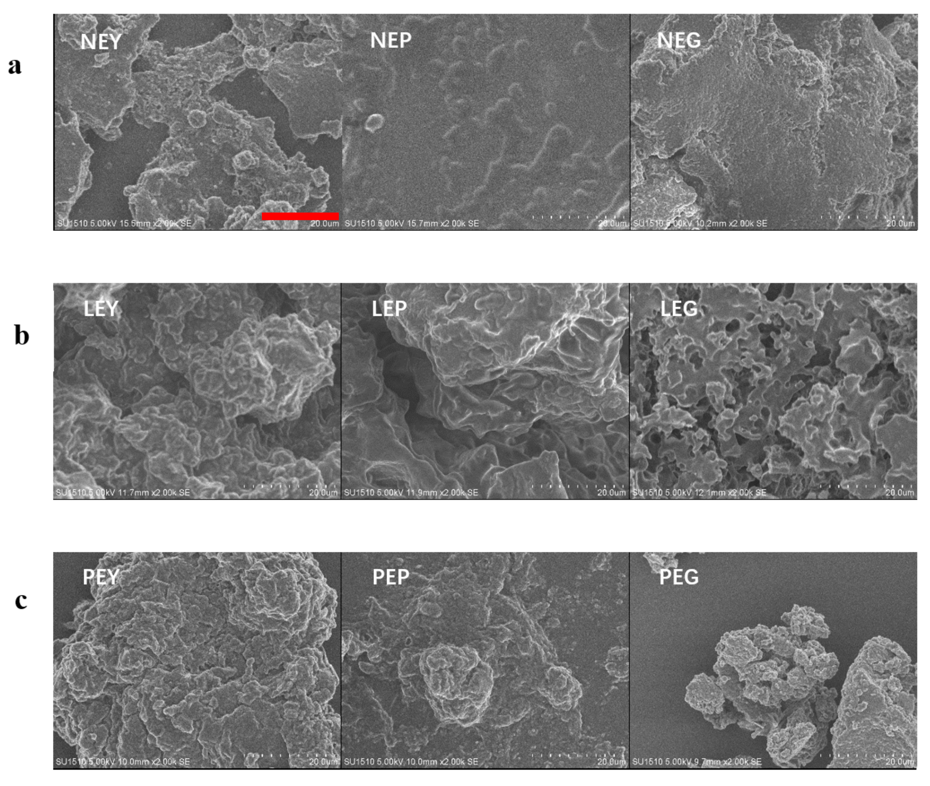 Foods 10 02238 g005 550