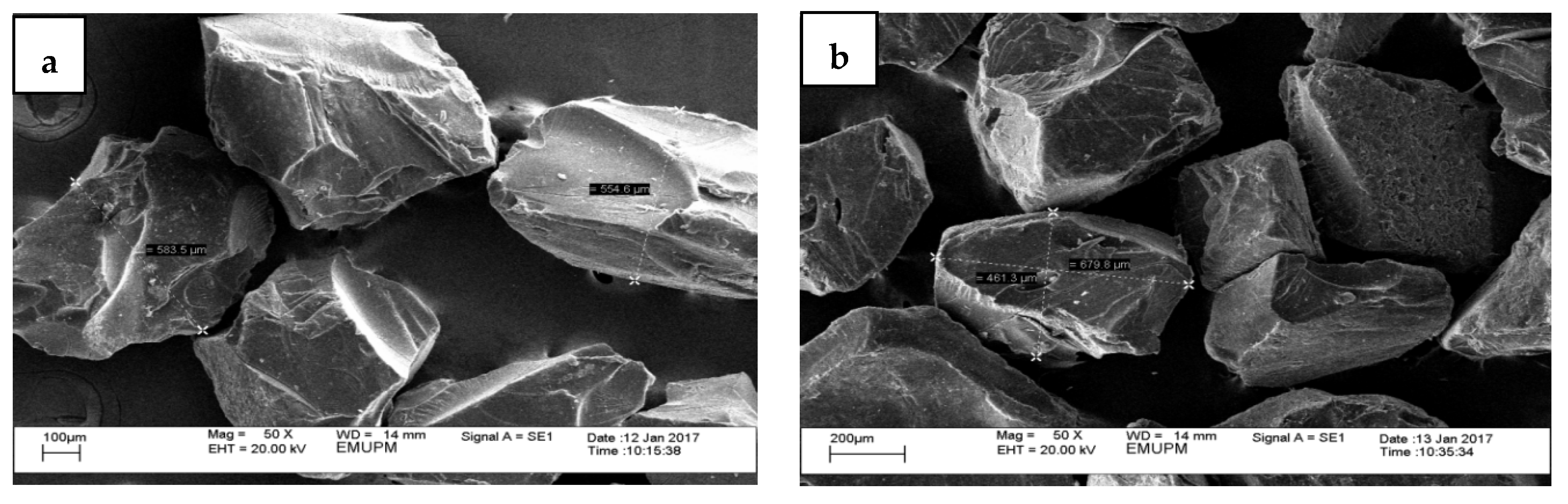 Foods 10 02248 g002a Foods 10 02248 g002a