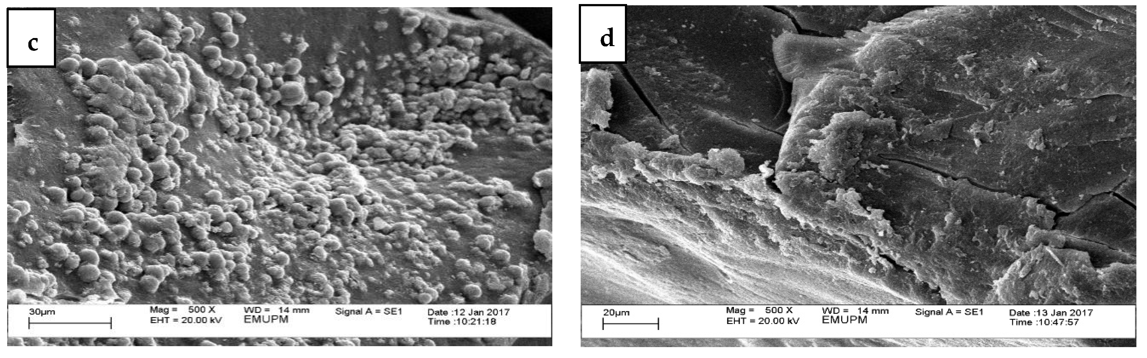 Foods 10 02248 g002b Foods 10 02248 g002b