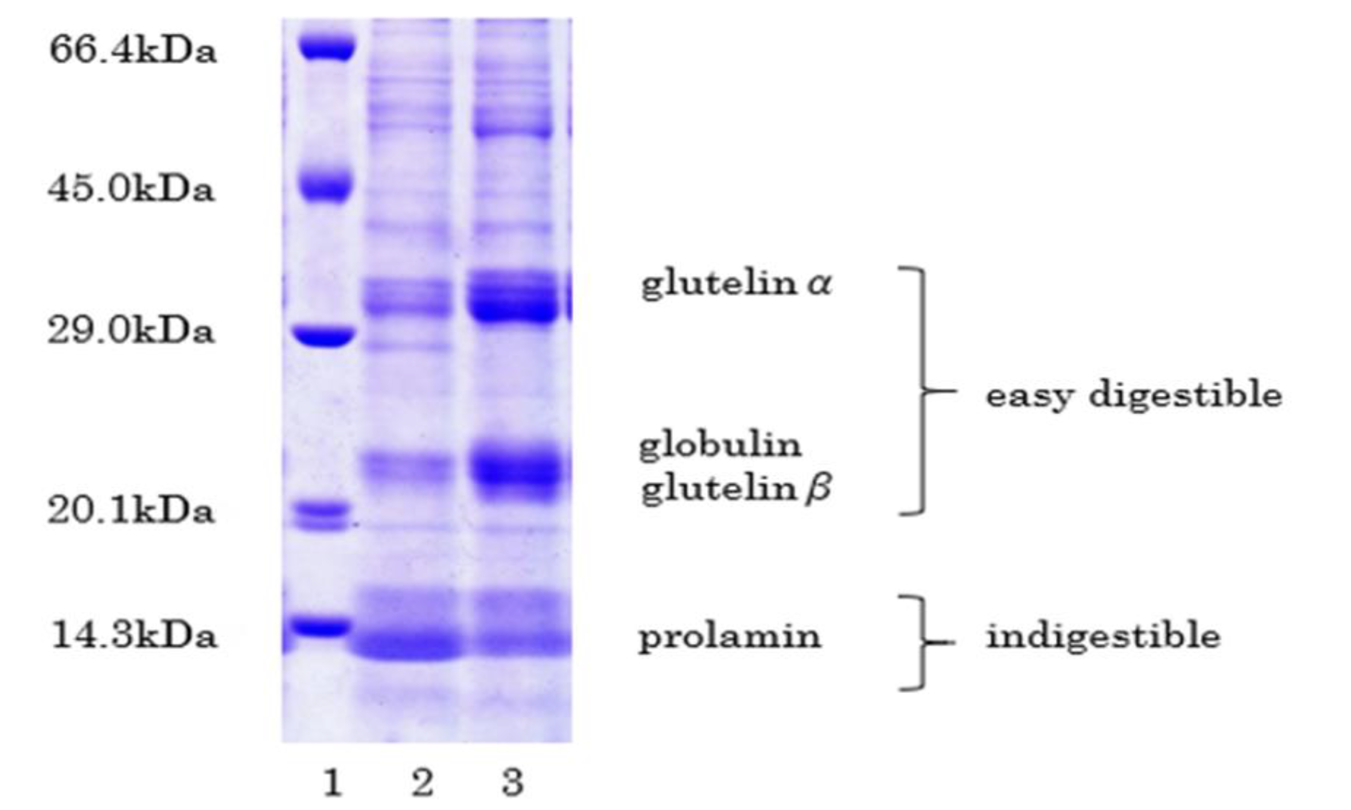 Foods 10 02255 g003 Foods 10 02255 g003