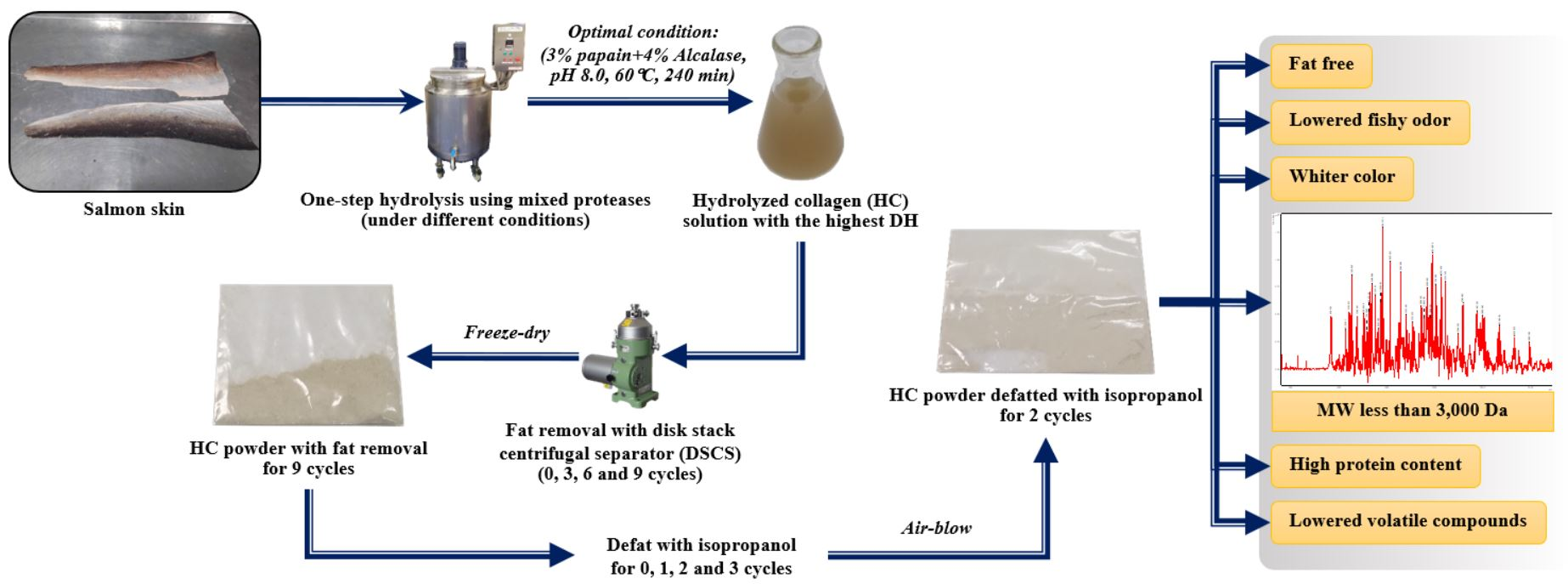 Foods Free FullText Development of Hydrolysis and Defatting Processes for Production of