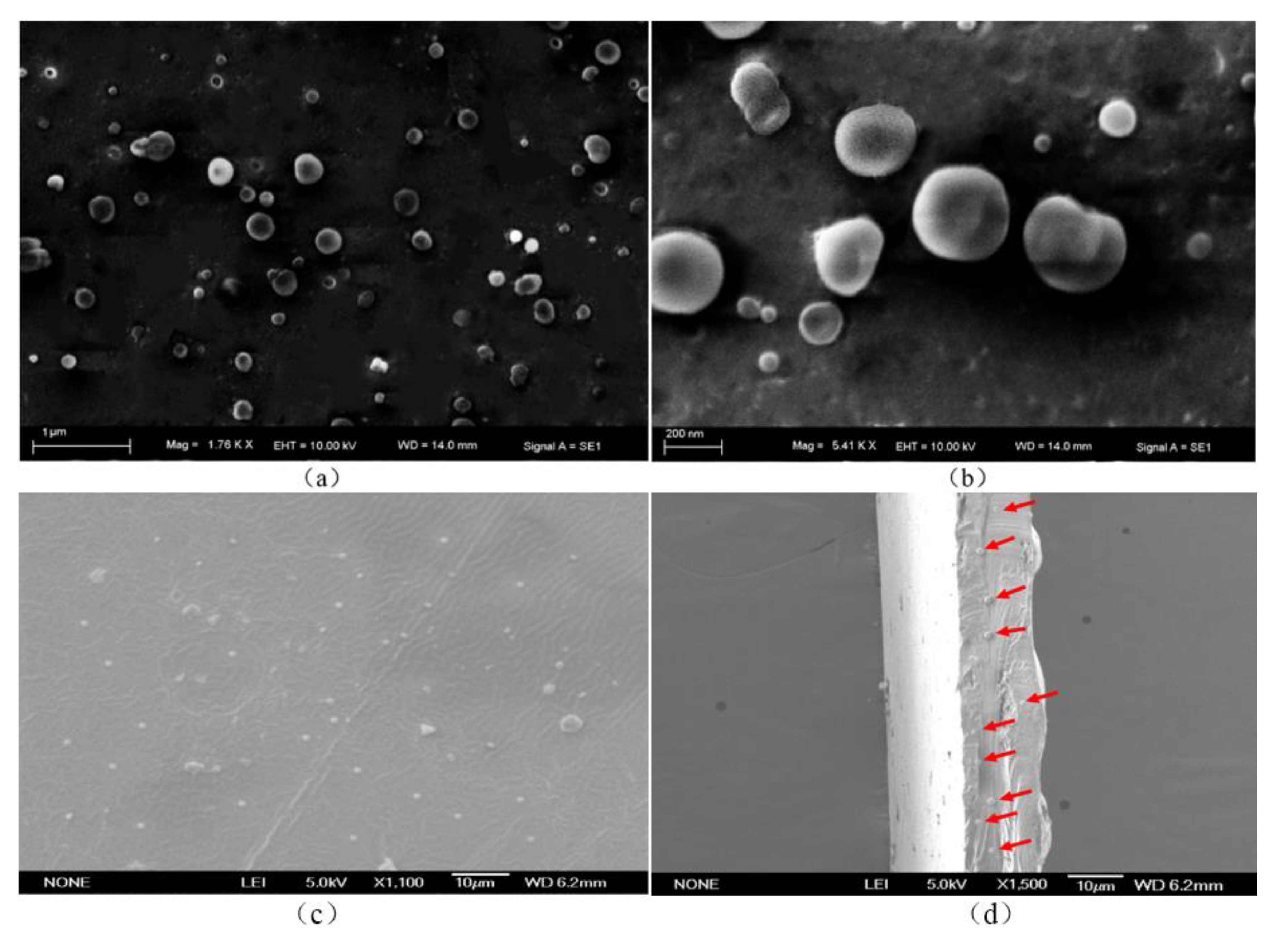 Foods 10 02268 g003 550