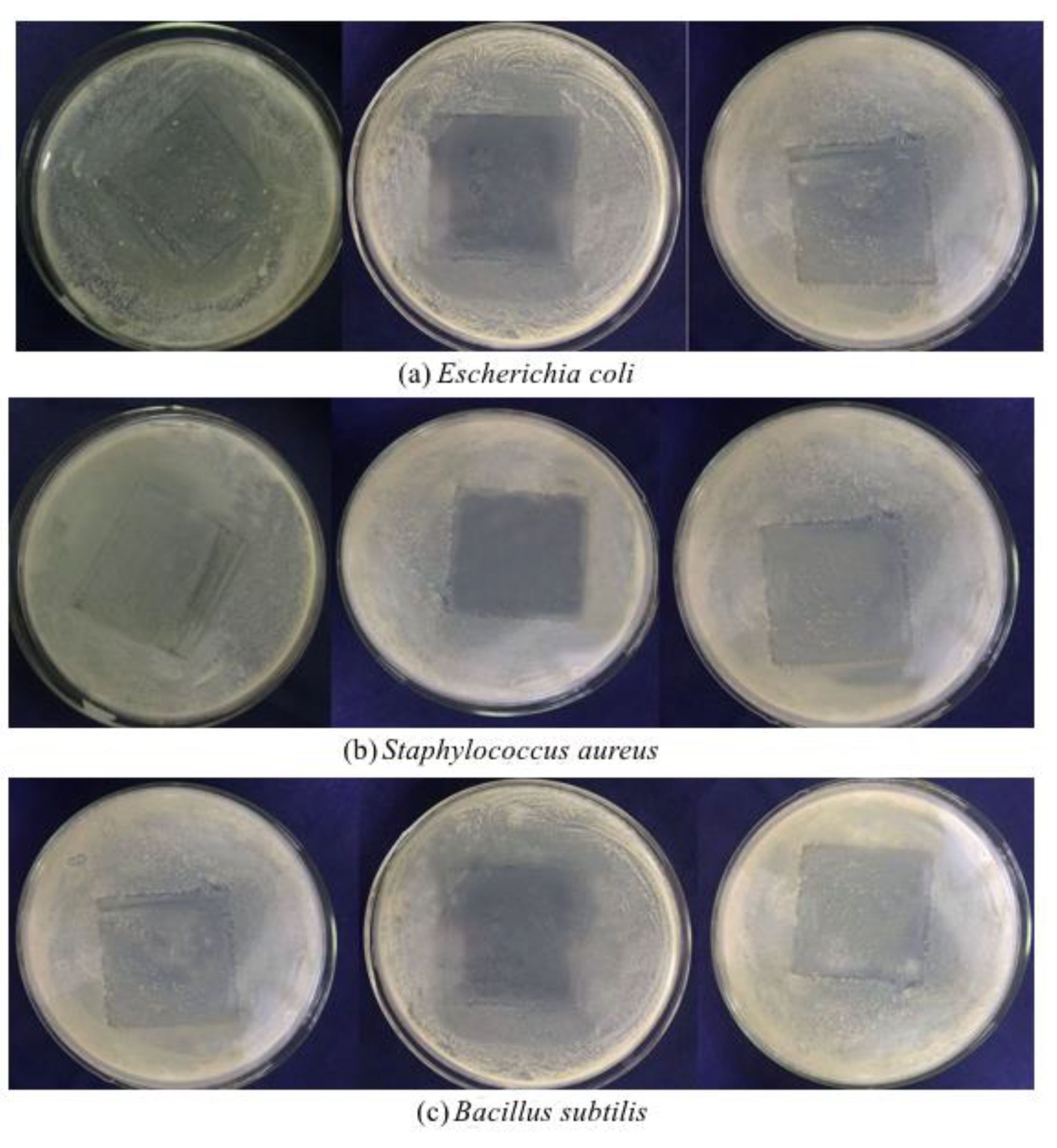 Foods 10 02268 g005 550