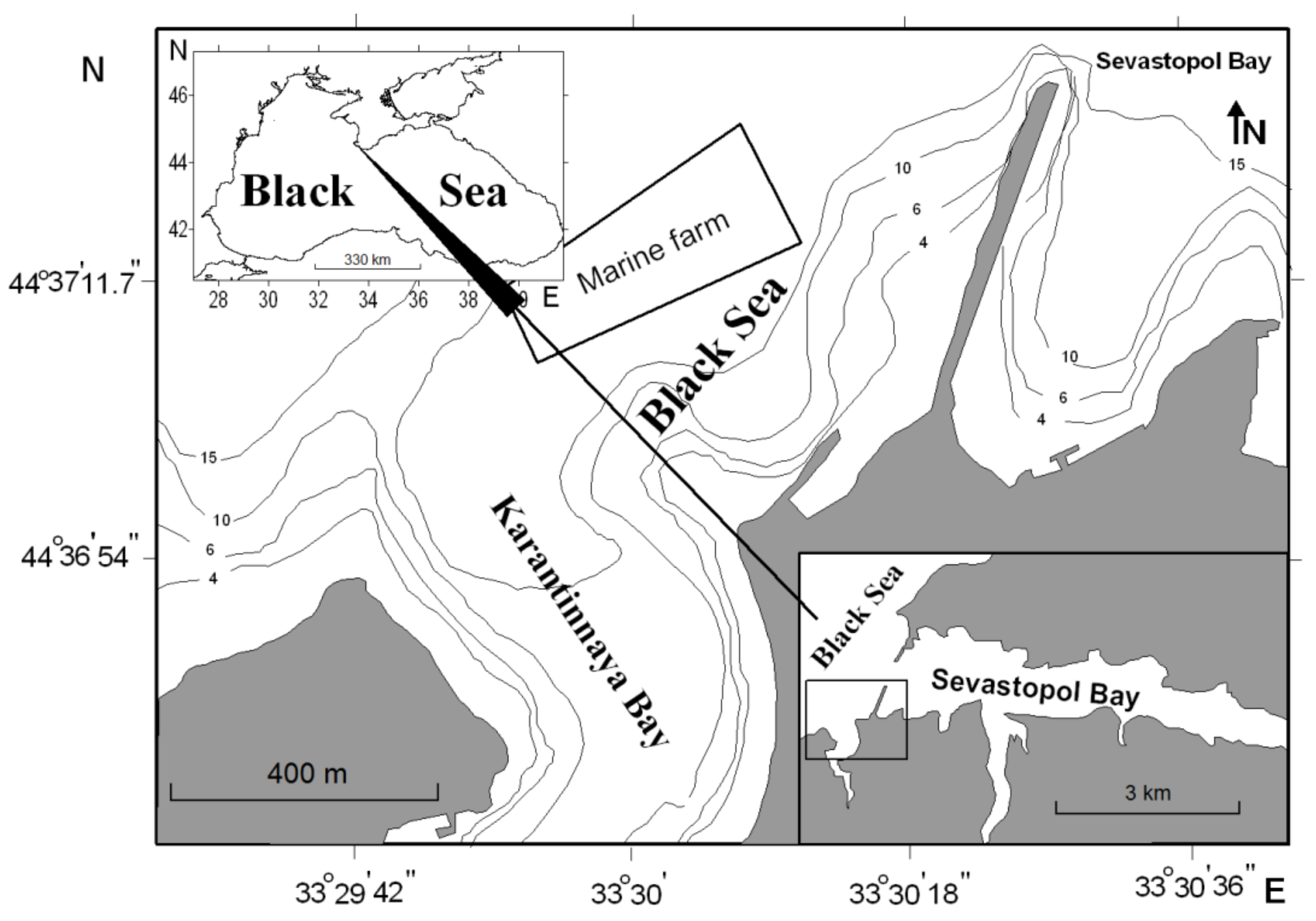 Foods | Free Full-Text | Element Contents in Three Commercially Important Edible Mollusks Harvested off the Southwestern Coast of Crimea (Black Sea) and Assessment of Human Health Risks from Their Consumption HTML