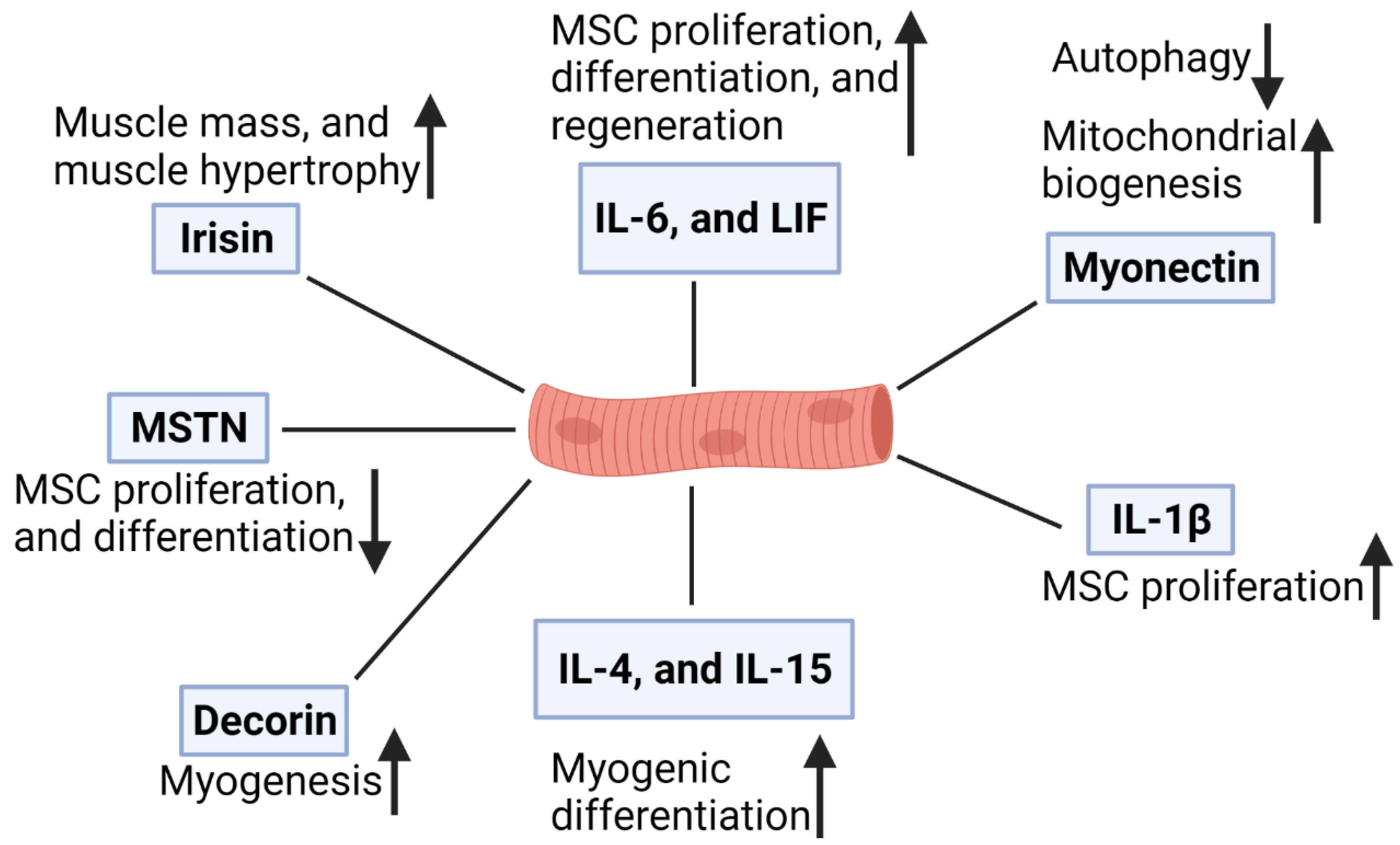 Foods 10 02318 g001 550