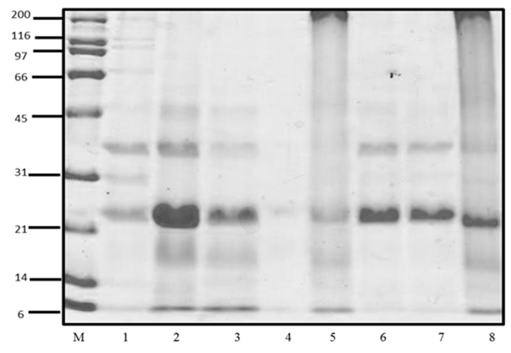 Foods 10 02340 g001 550