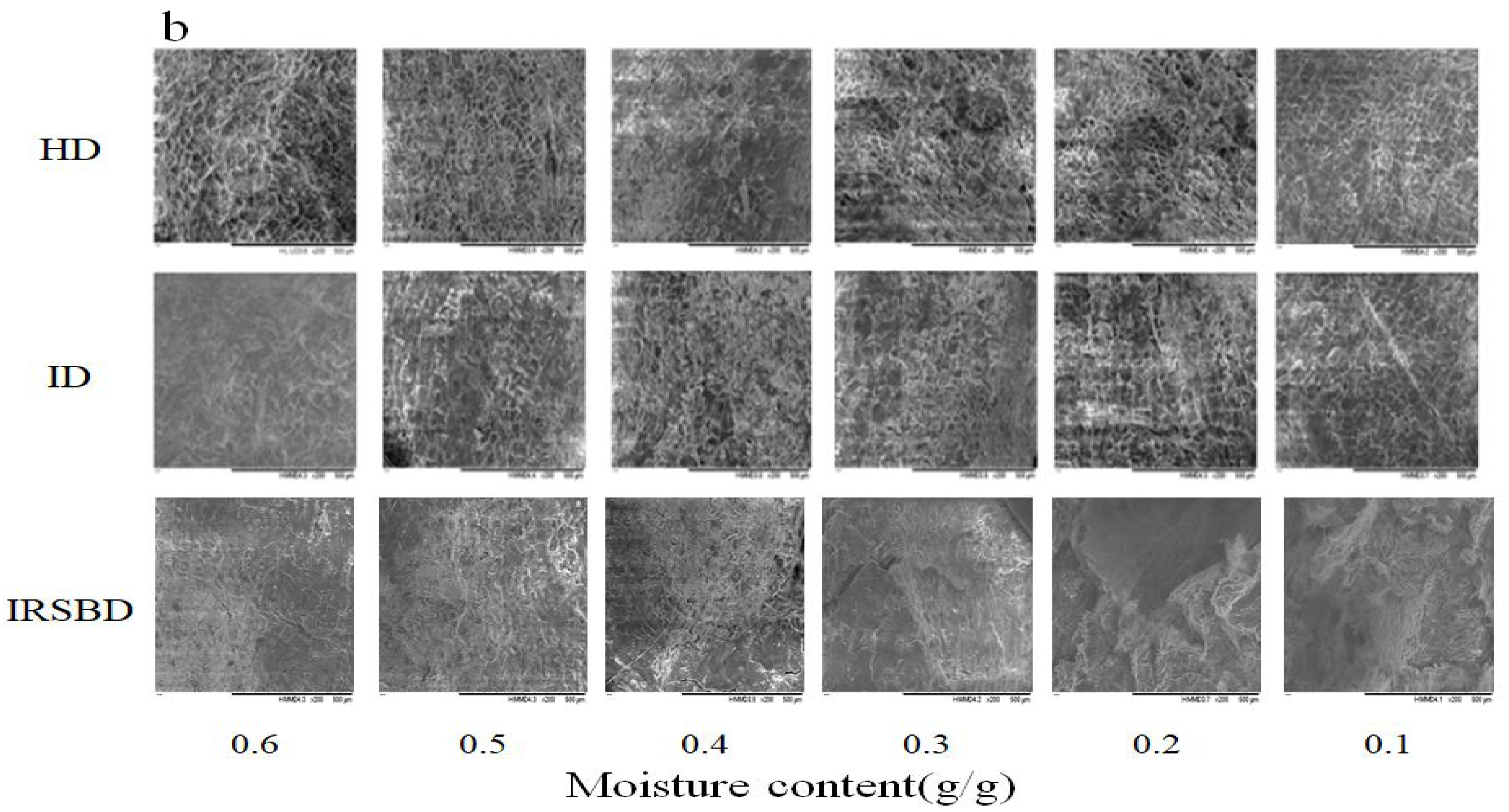 Foods 10 02383 g004b