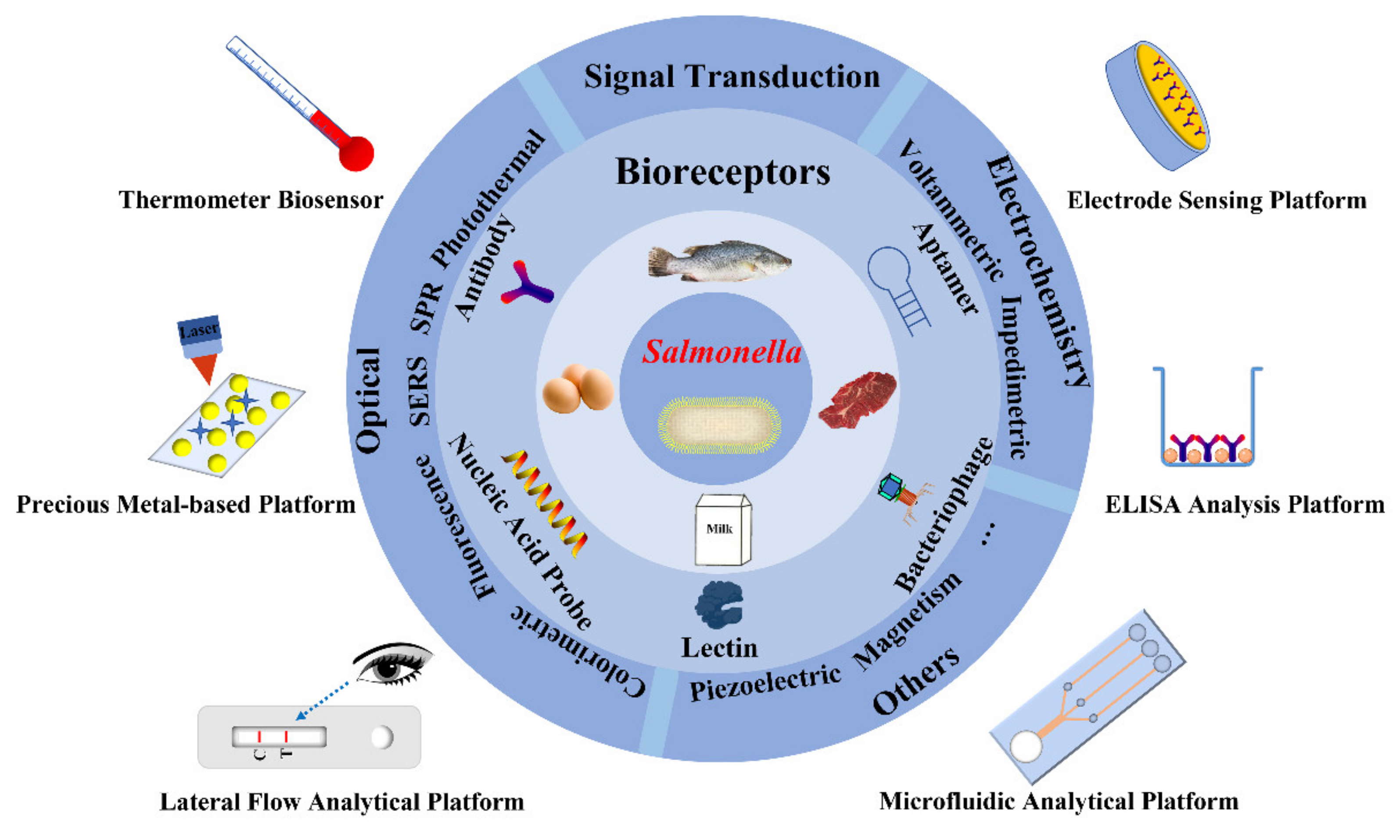 Different Types of Luminescence for Fraud Prevention