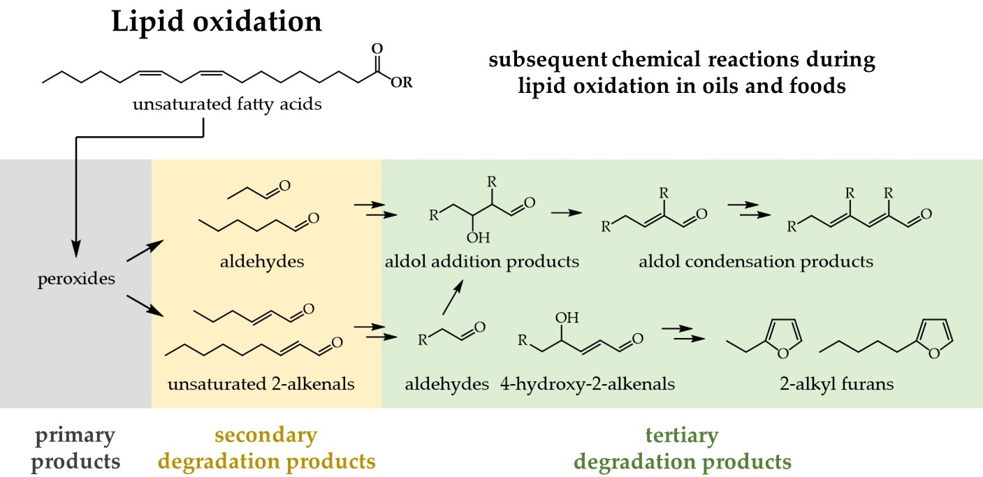 Foods Free FullText Formation of Secondary and Tertiary Volatile Compounds Resulting from