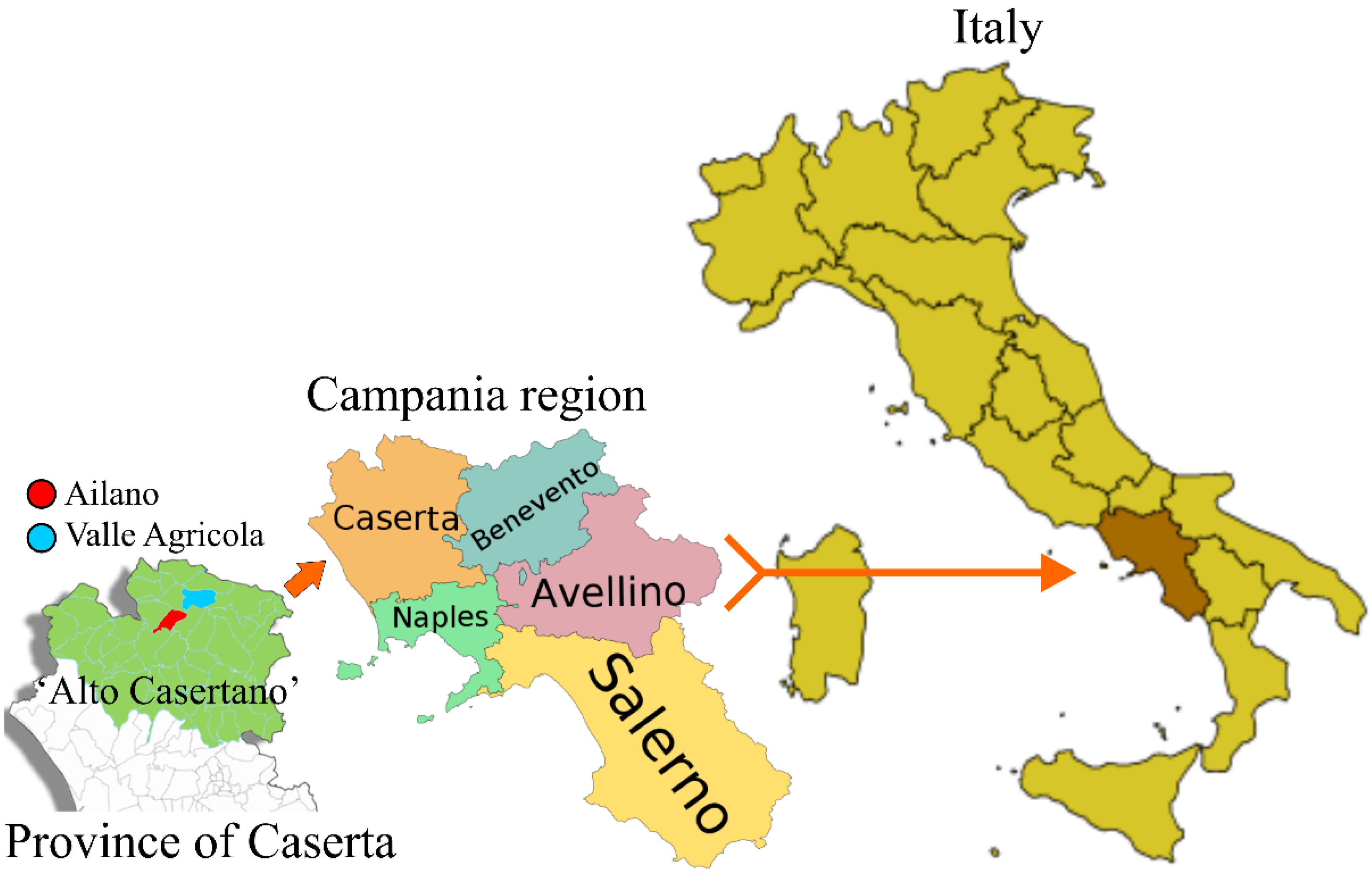 Foods 10 02431 g001 550