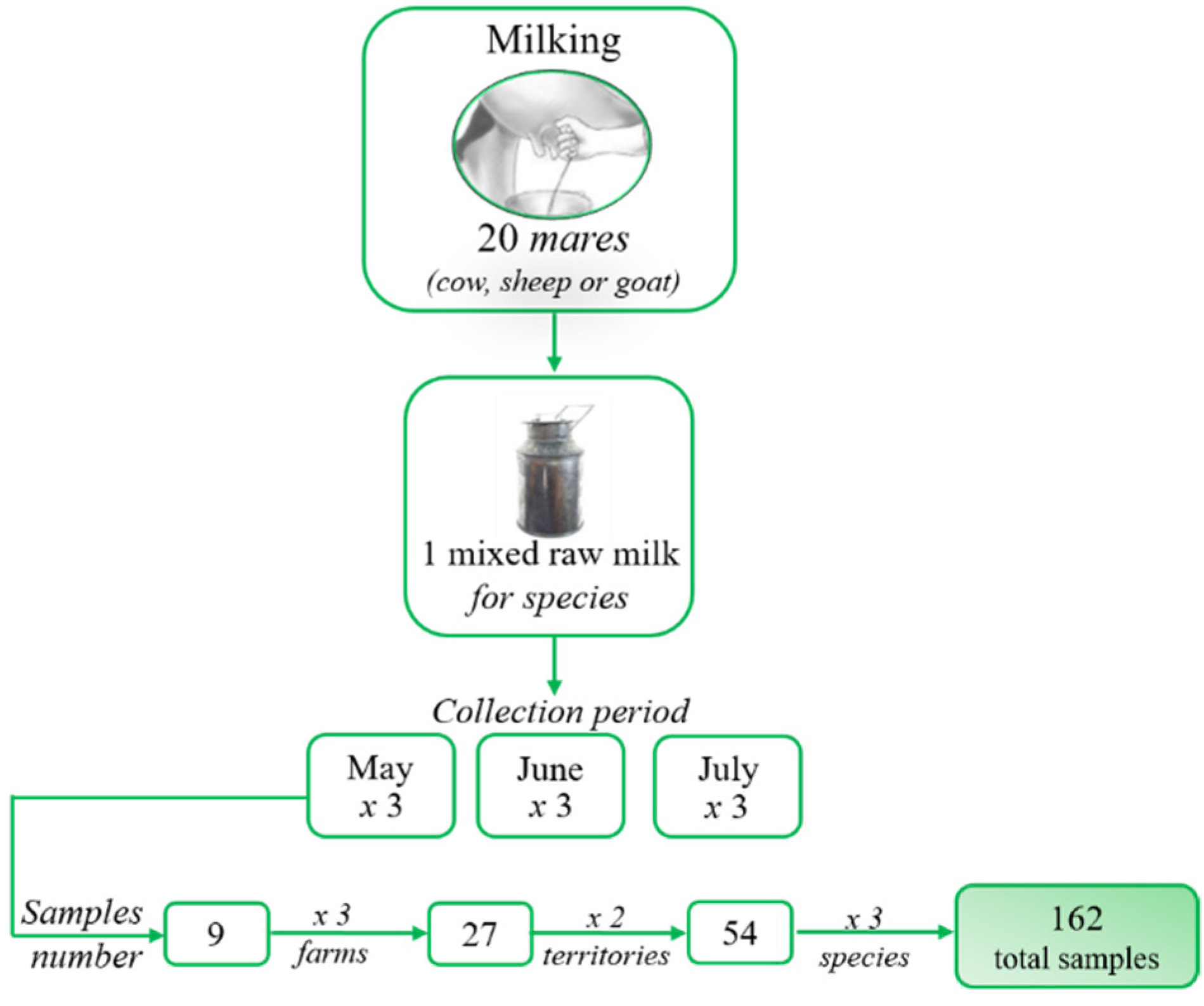 Foods 10 02431 sch001 550