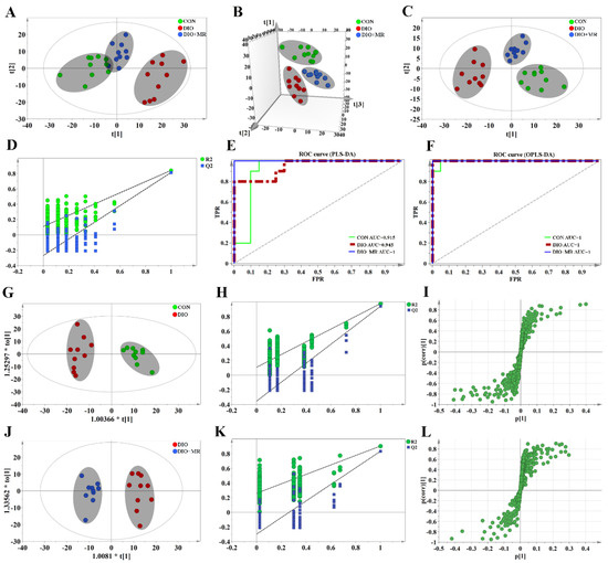 Metabolomics Based on 1H-NMR Reveal the Regulatory Mechanisms of