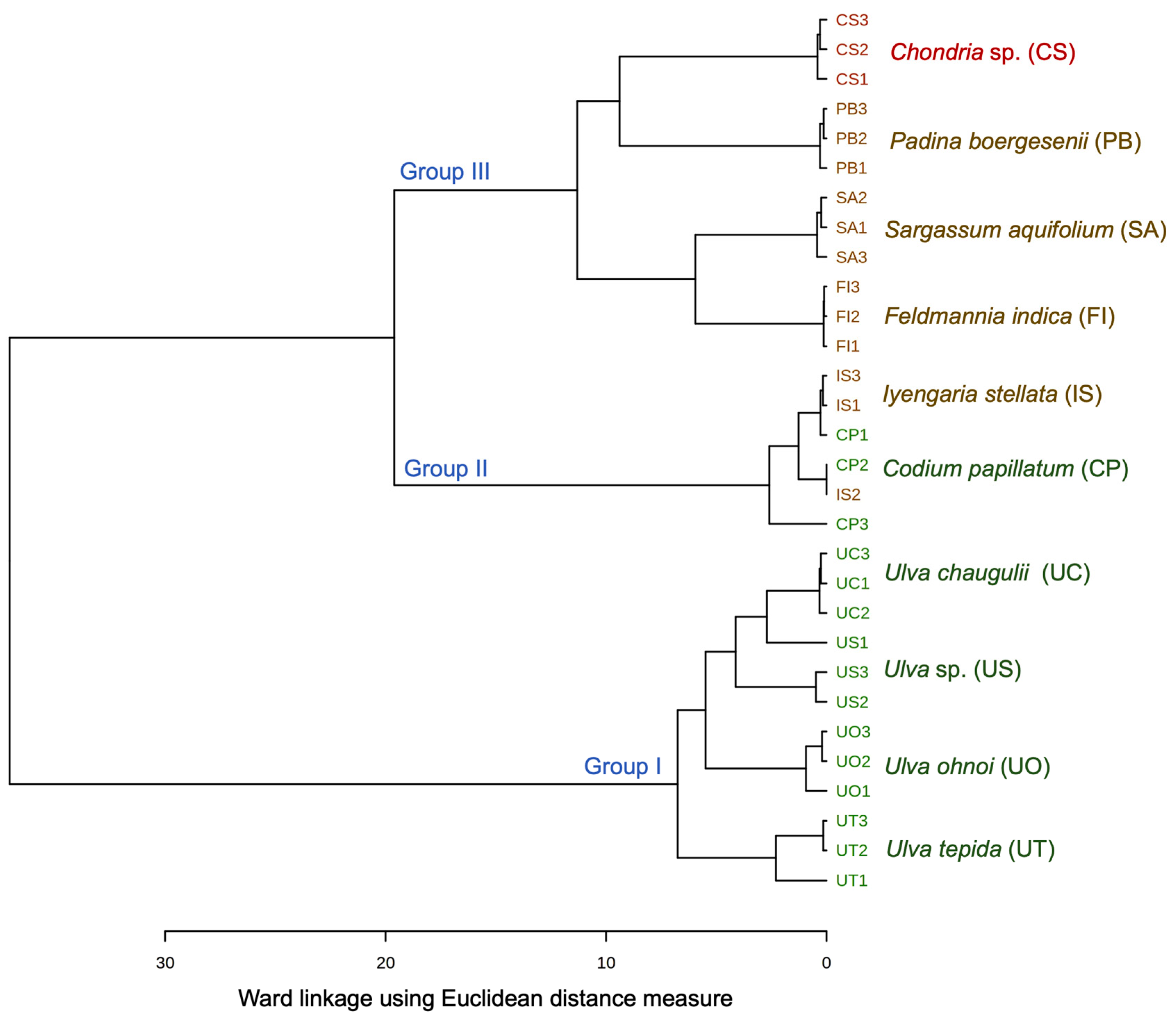 Foods 10 02442 g001 550
