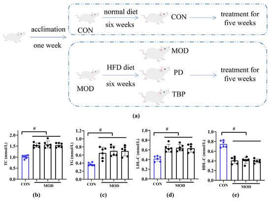 Cholesterol-Lowering Activity of Tartary Buckwheat Protein
