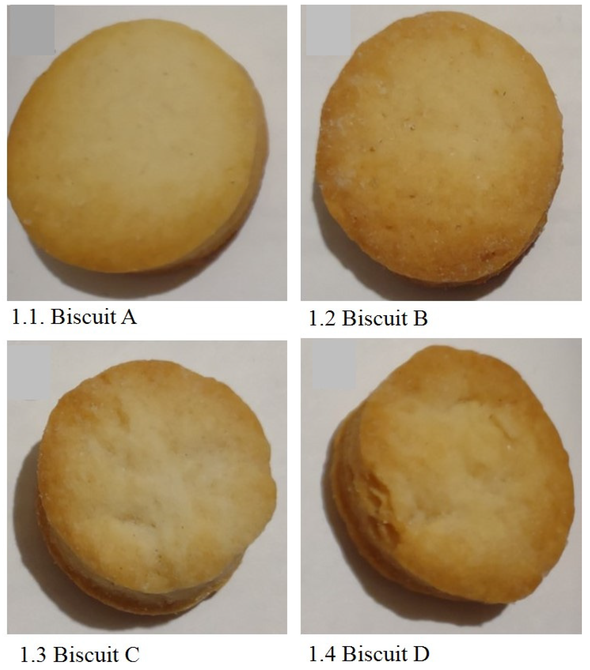 Foods Free FullText Functionalized Biscuits with Bioactive