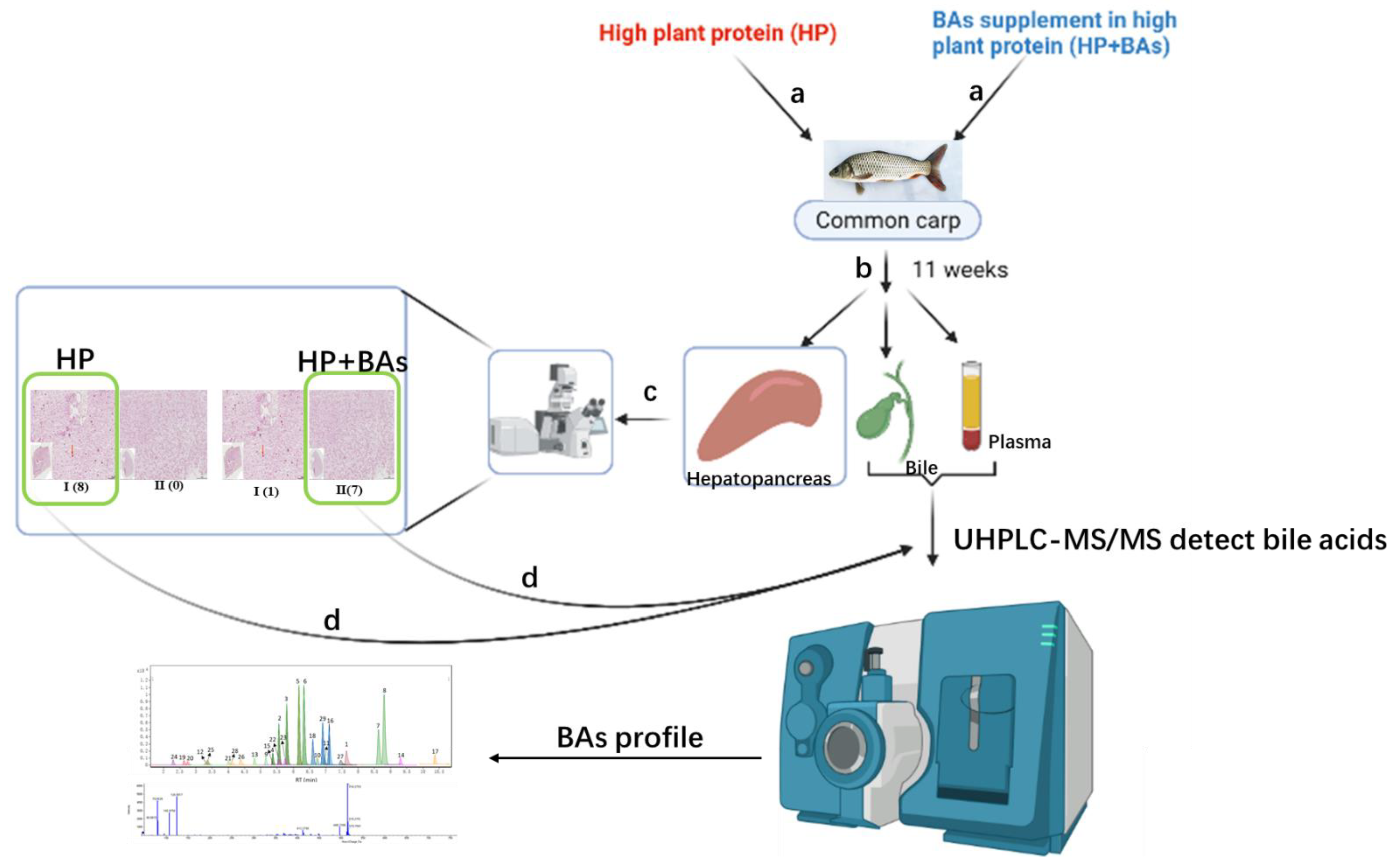 Foods 10 02465 g001 Foods 10 02465 g001