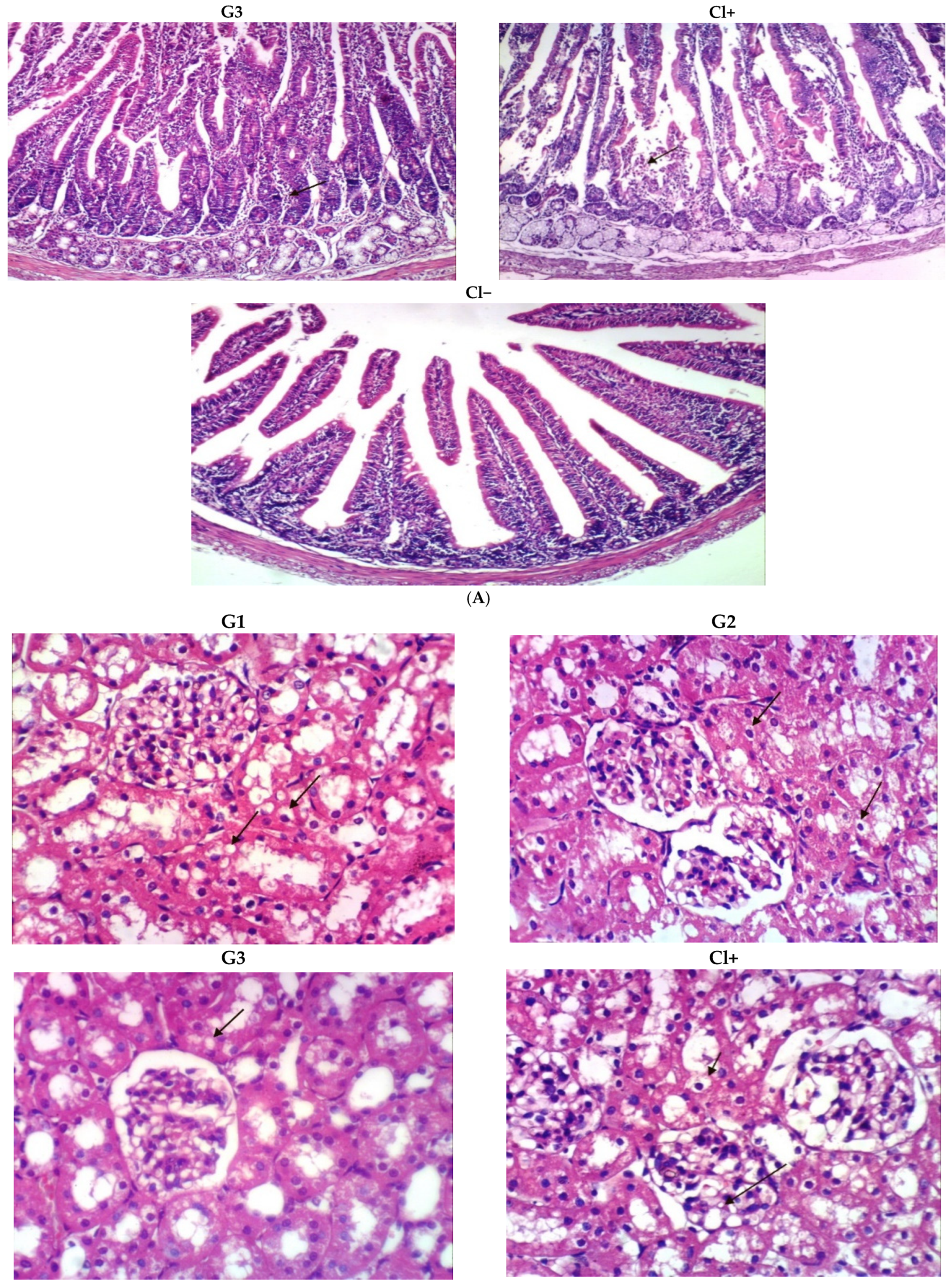 Foods 10 02493 g002b Foods 10 02493 g002b
