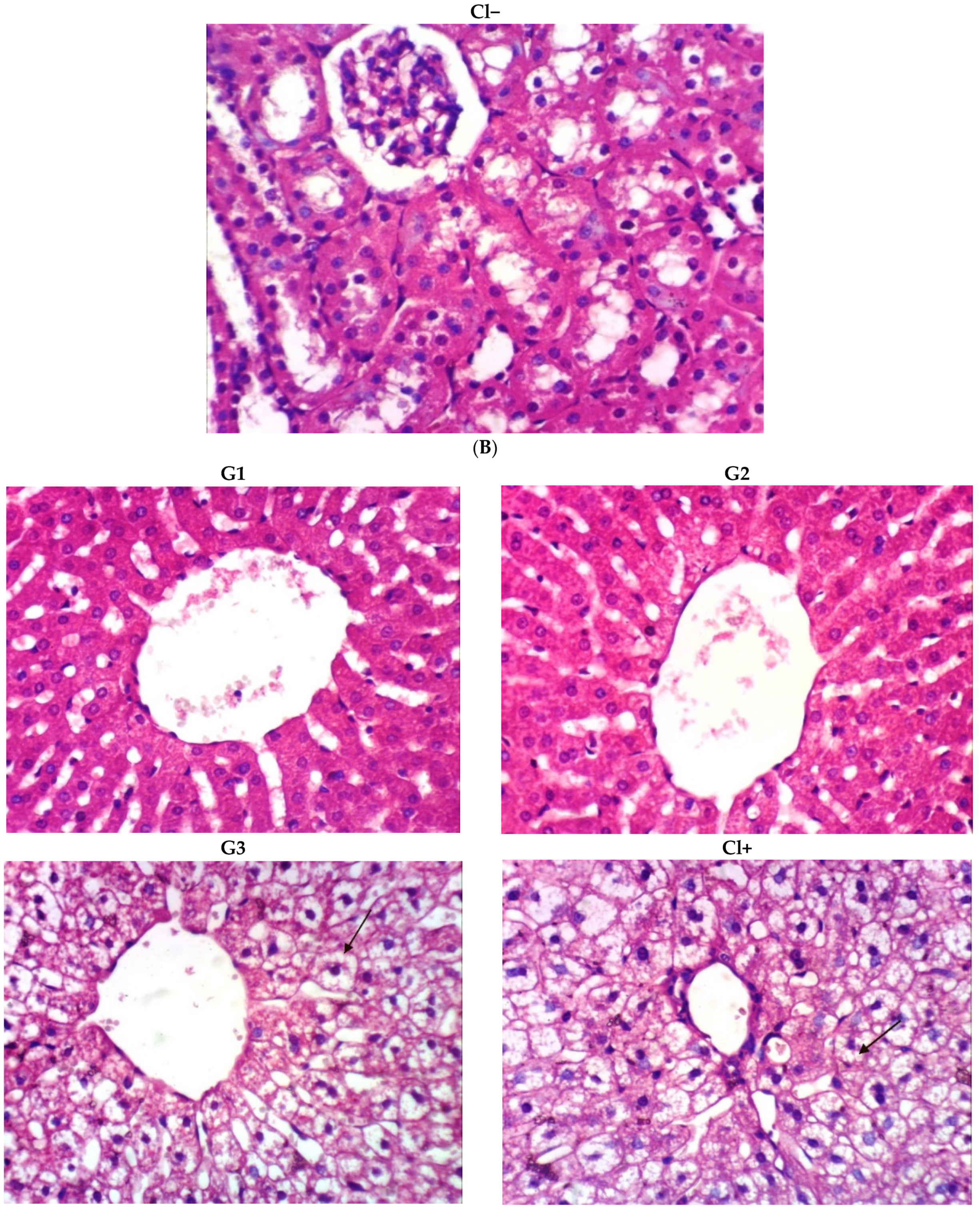 Foods 10 02493 g002c Foods 10 02493 g002c