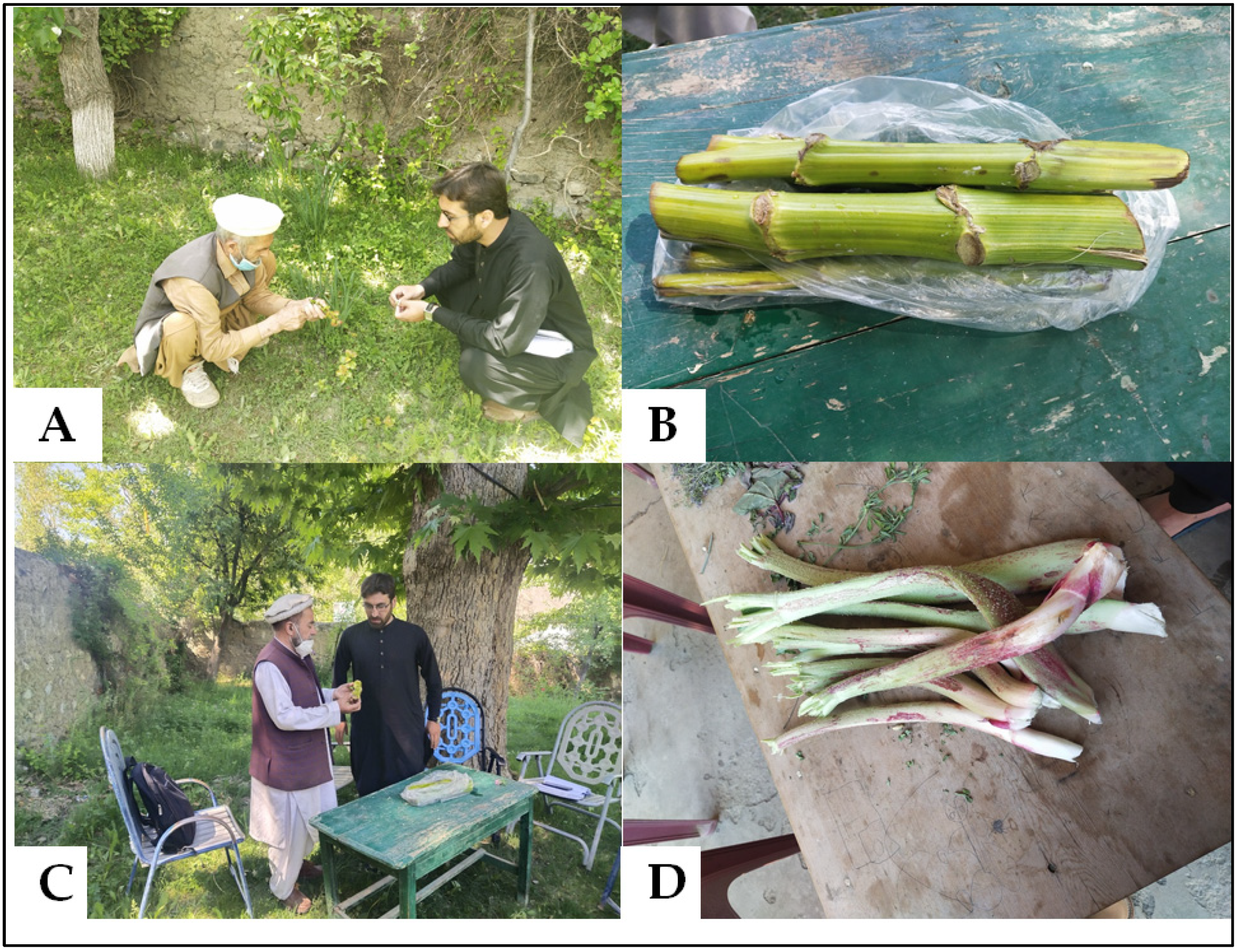 Foods 10 02494 g003 Foods 10 02494 g003