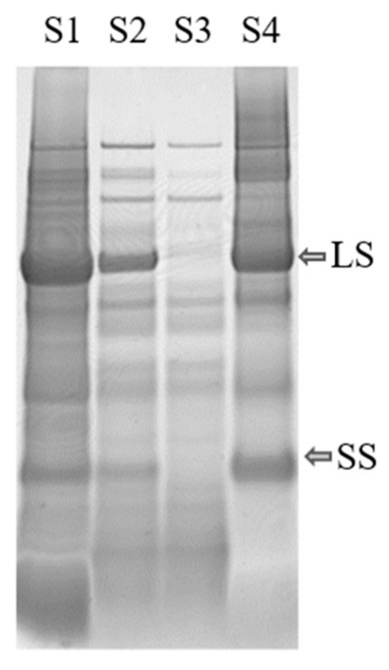 Foods 10 02533 g004 550