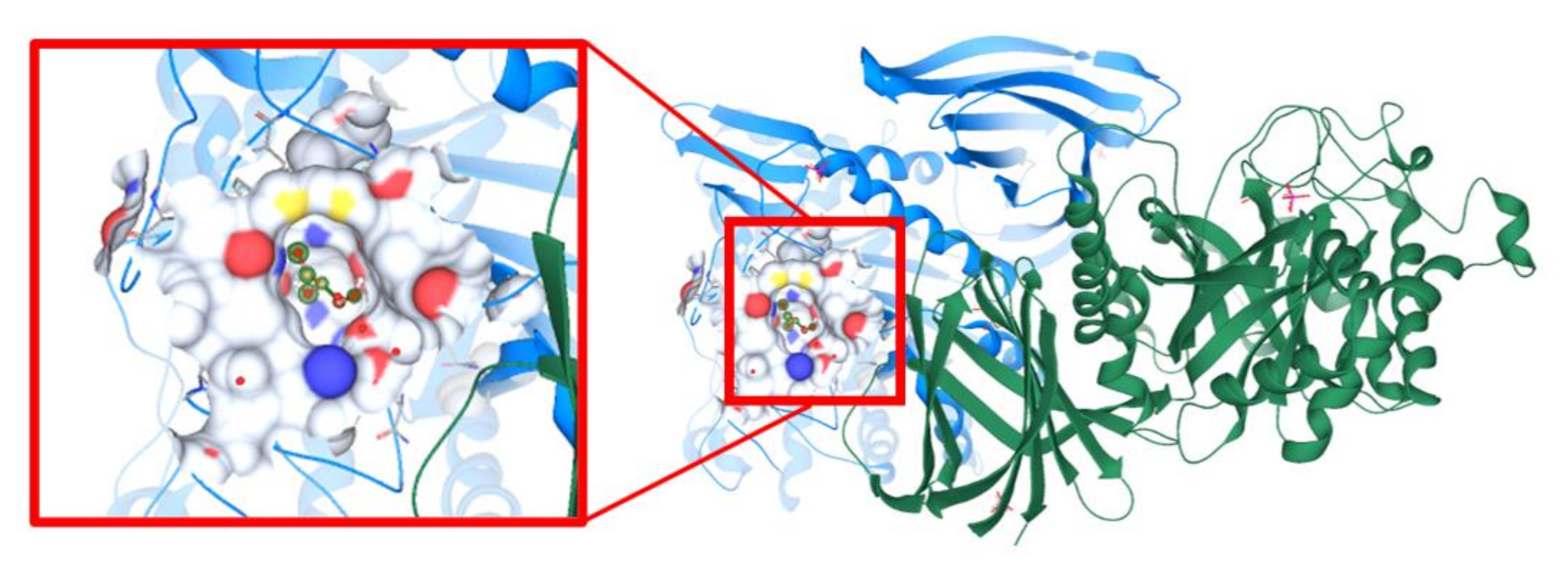 Foods 10 02548 g017 Foods 10 02548 g017