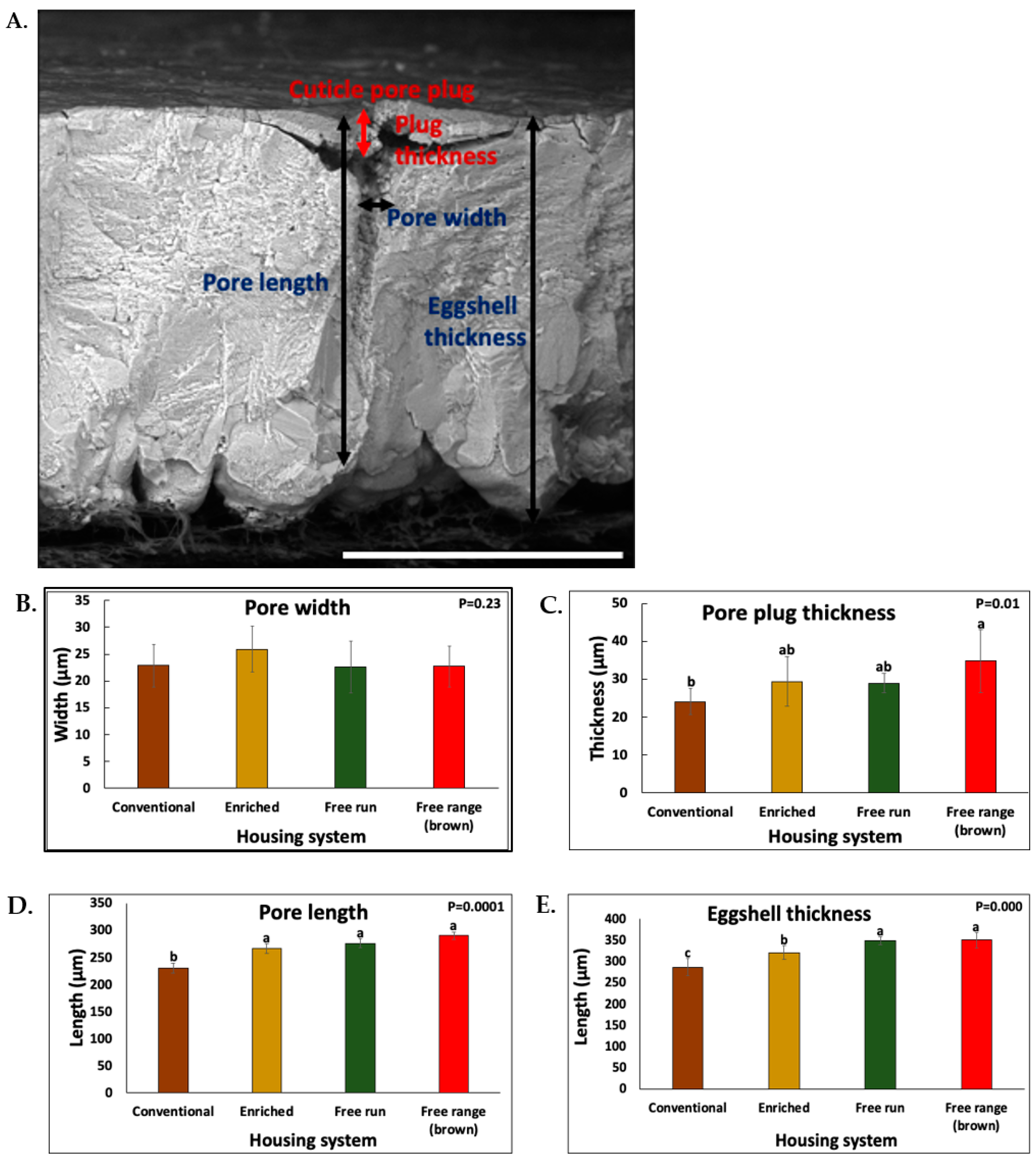 Foods 10 02559 g001 550