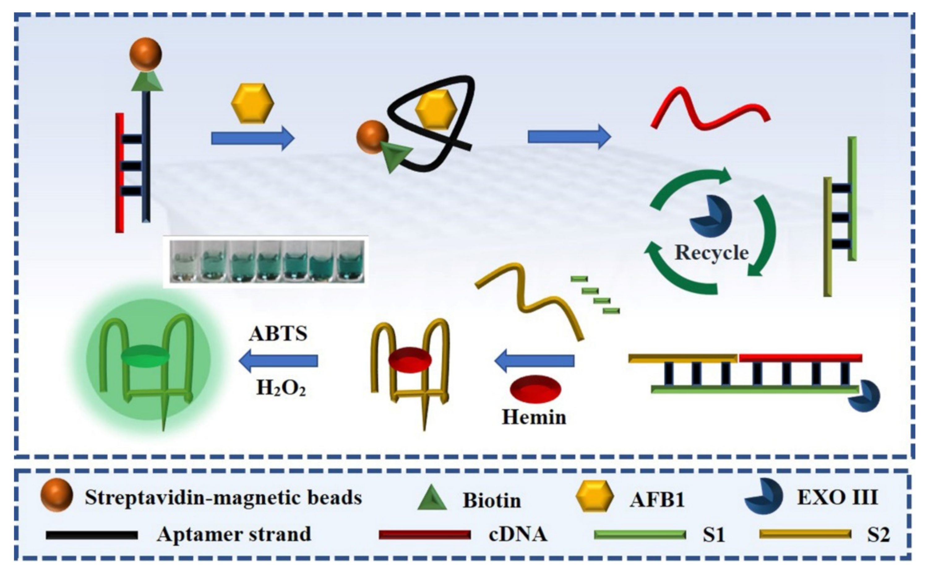 Foods 10 02568 g001 550
