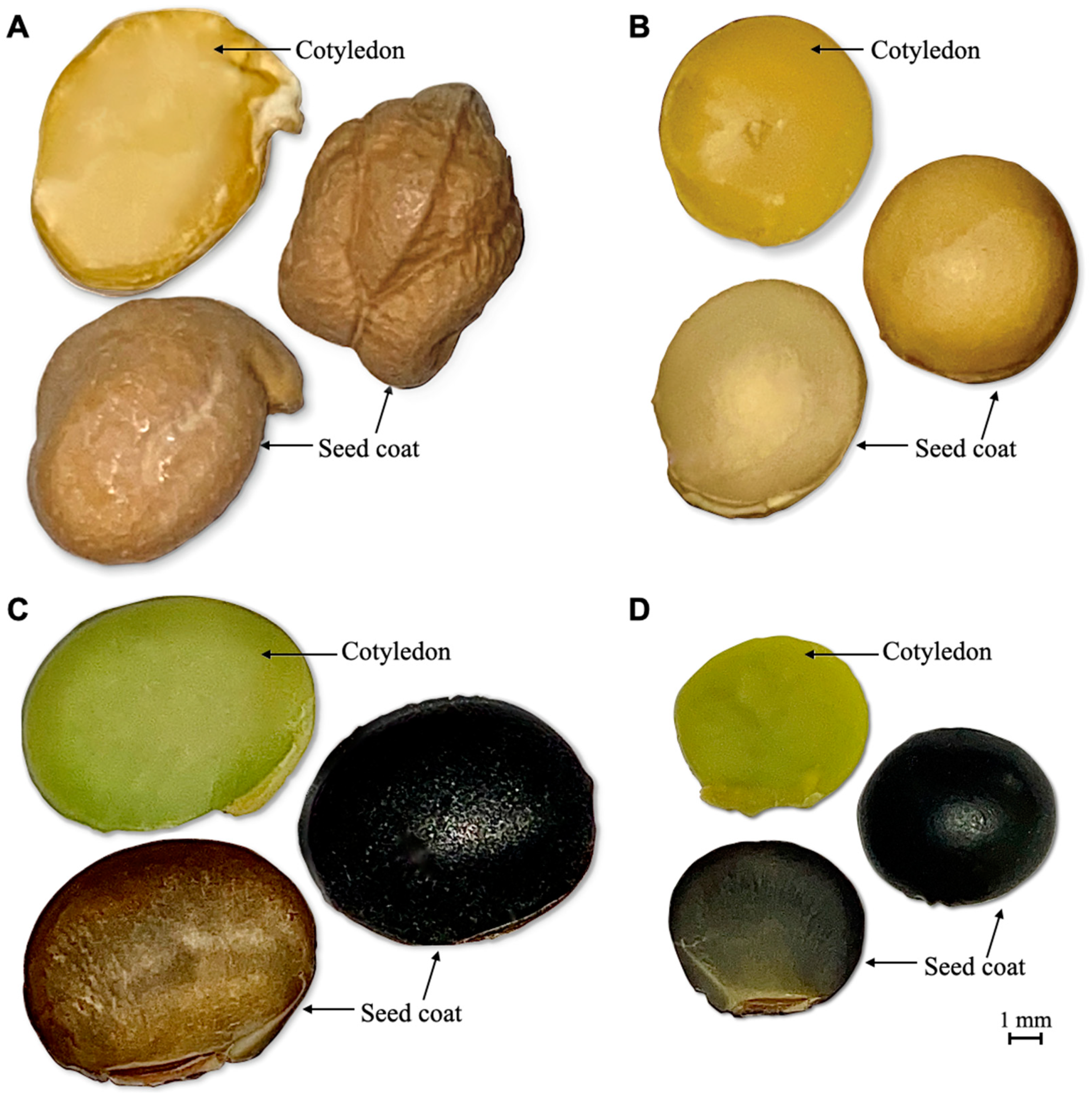 Foods 10 02589 g001 550