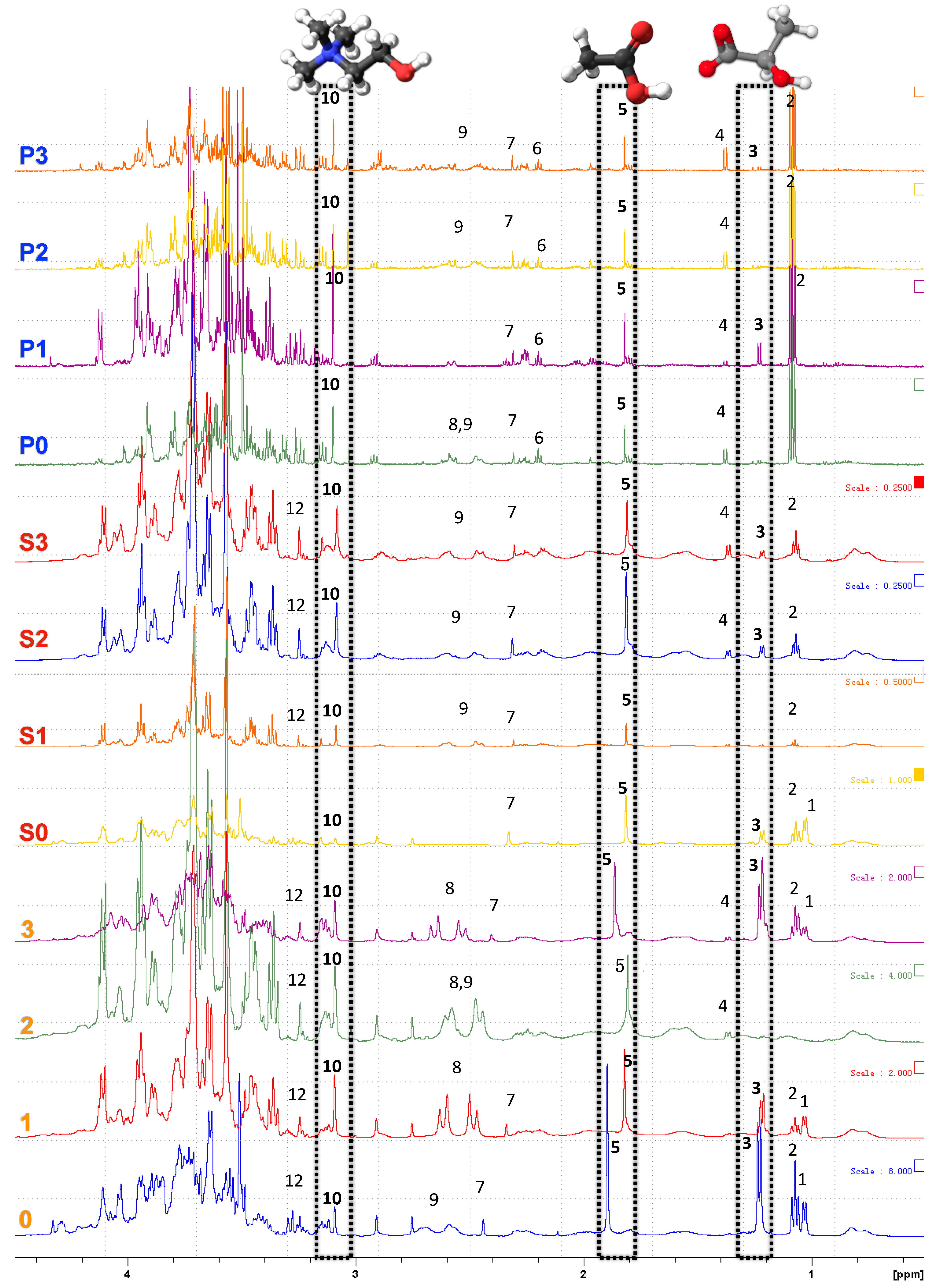 Foods 10 02589 g005 550