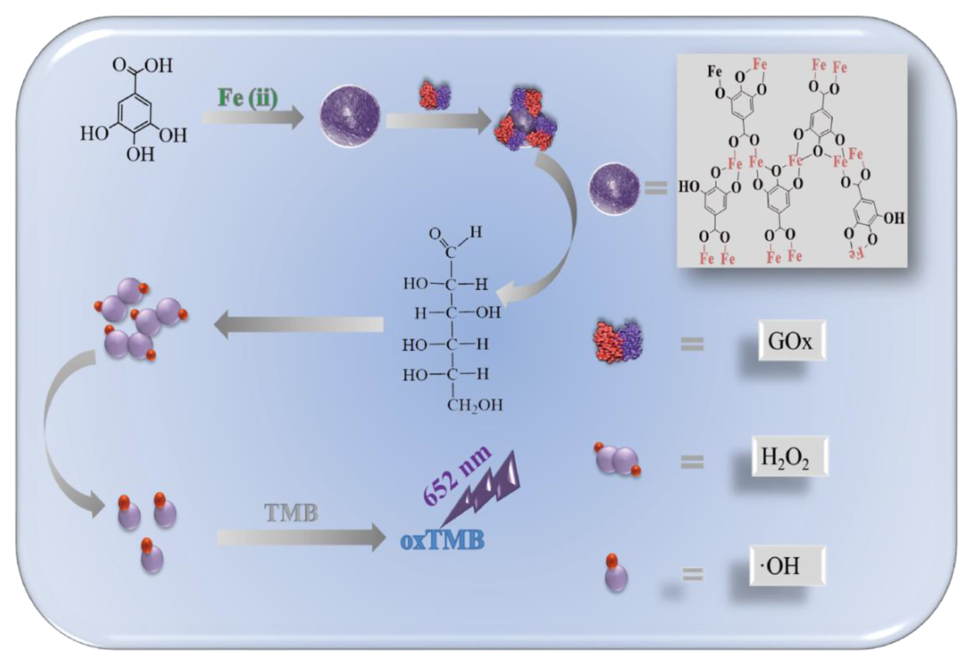 Foods 10 02596 sch001 550
