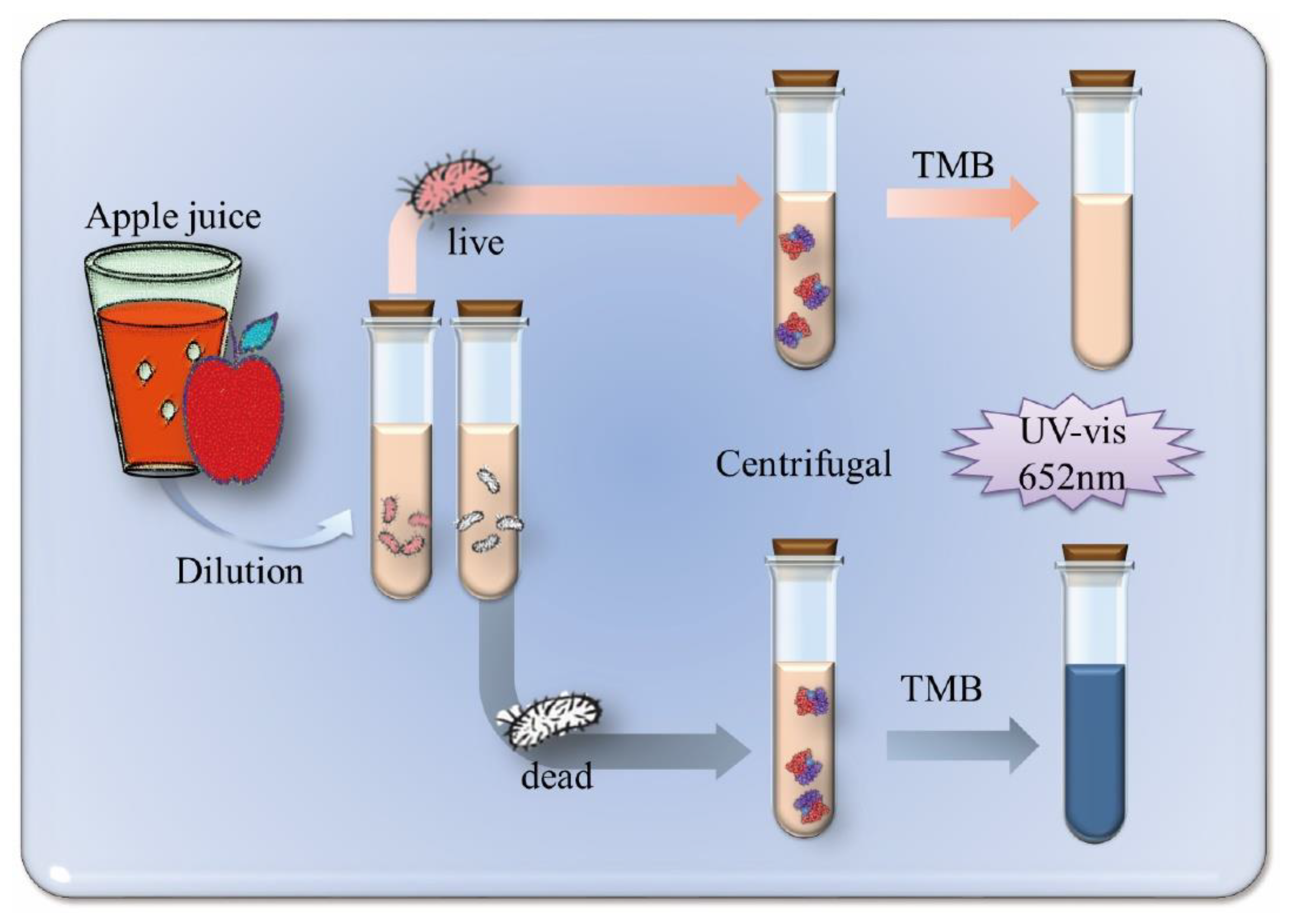 Foods 10 02596 sch002 550