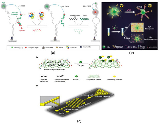 Aptamer-Based Fluorescent Biosensor for the Rapid and