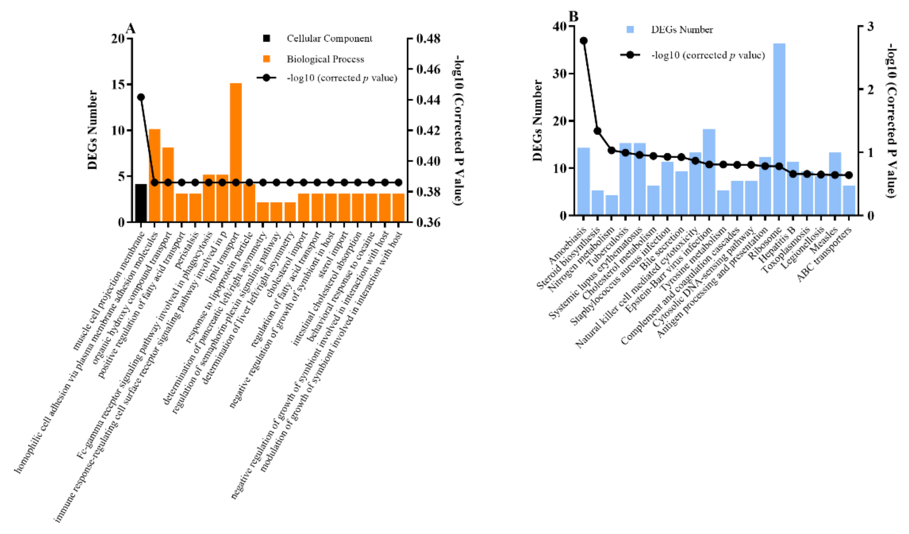 Foods 10 02612 g007 Foods 10 02612 g007