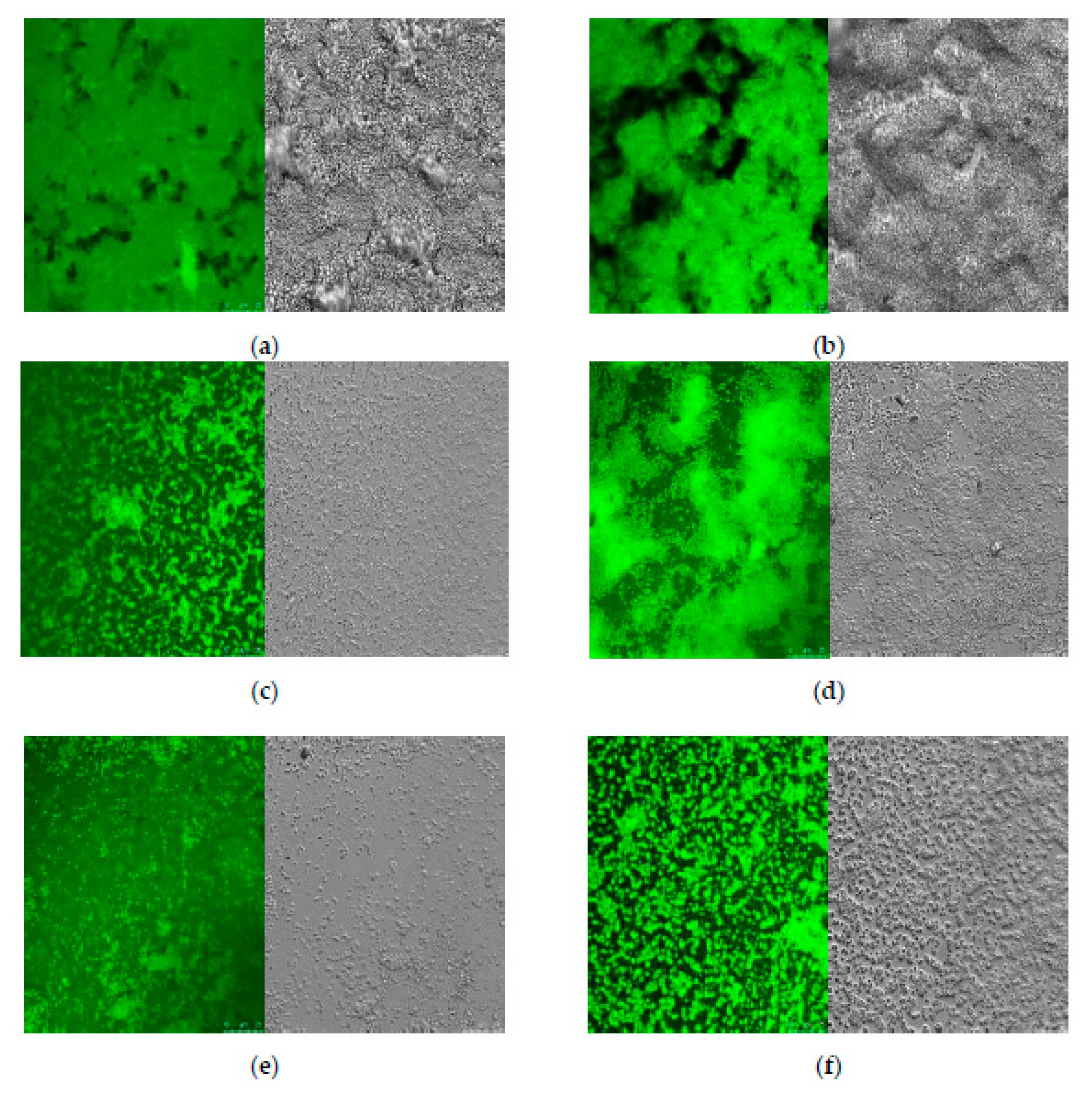 Foods 10 02614 g003 550