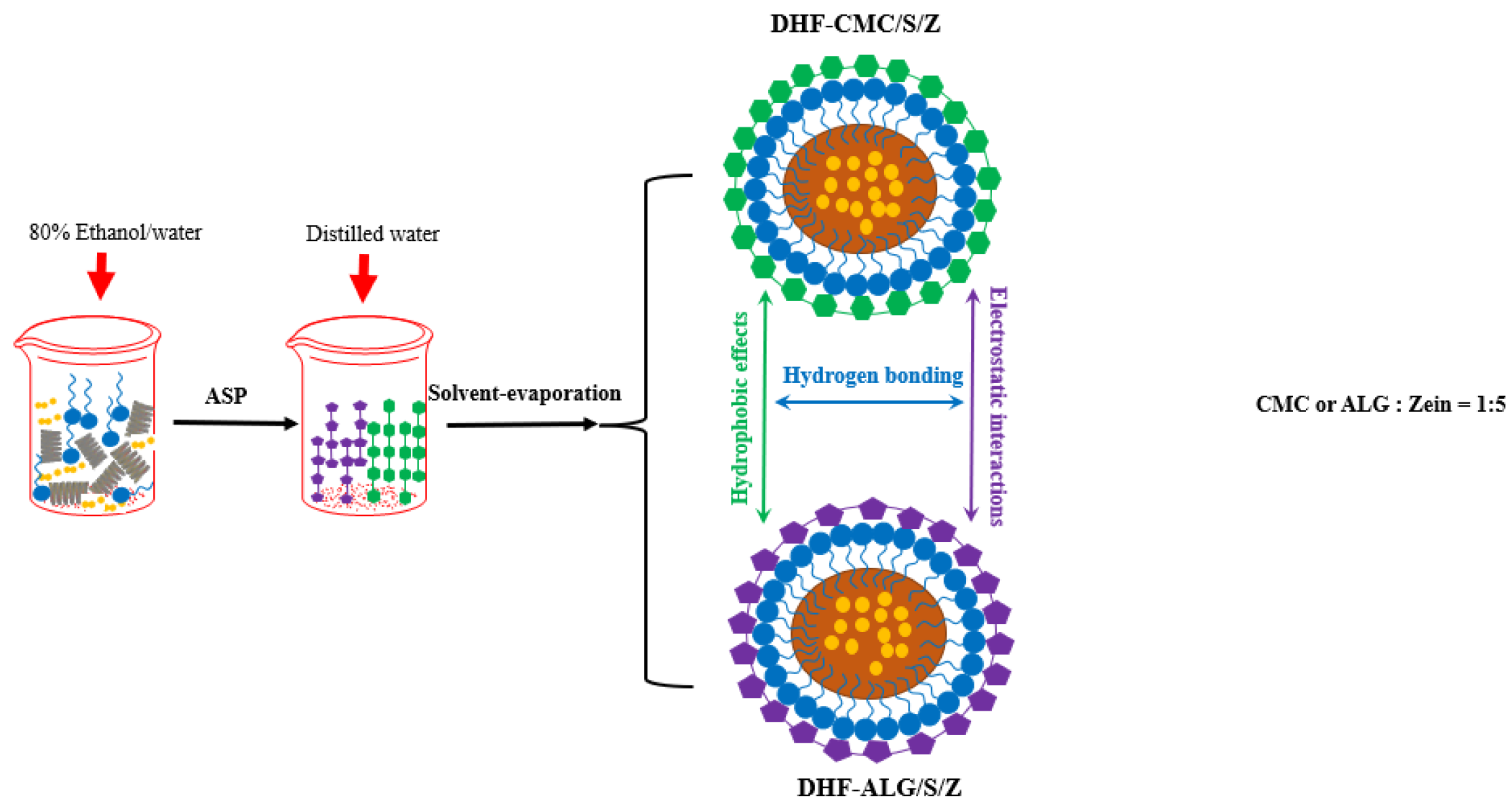 Foods 10 02629 g007b 550